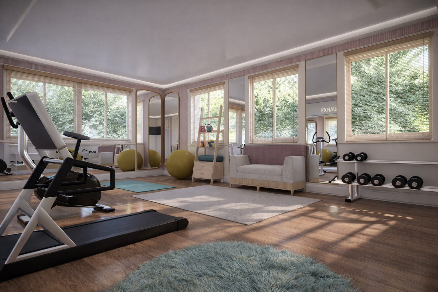 Bright gym room with large windows, exercise equipment including treadmill, weights, exercise balls, and a mirror.