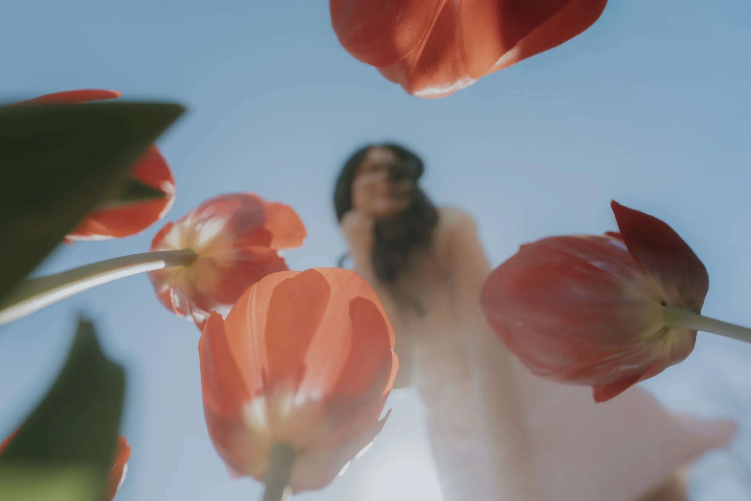 A woman with dark hair and glasses smiling in the background, viewed from below through orange tulips against a bright blue sky.