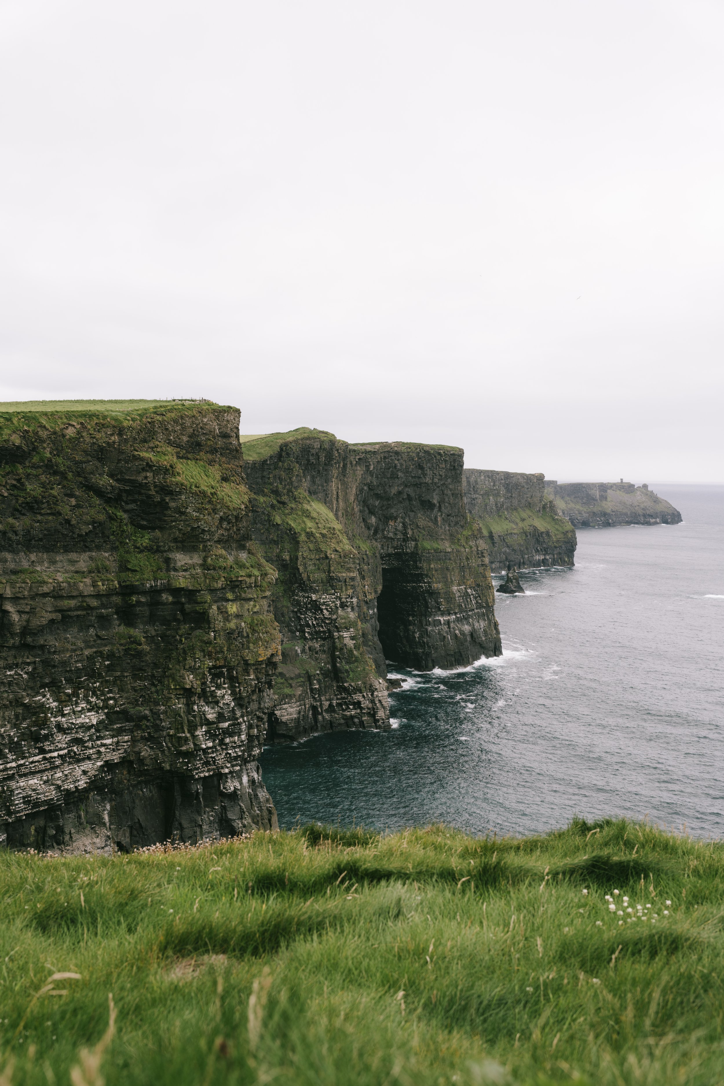 Cliffs of Moher along the Irish coast, with green grass in the foreground and sea below.