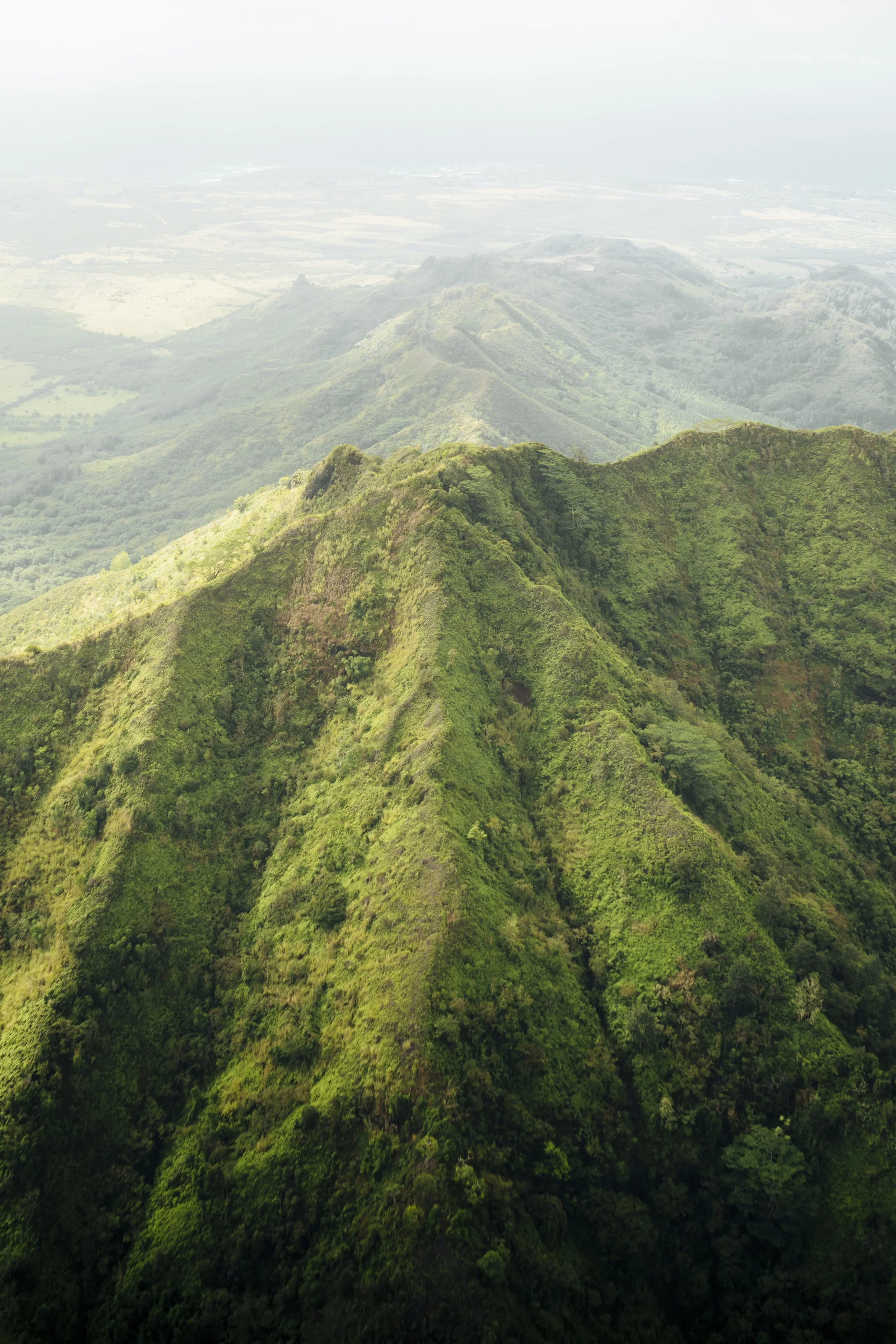 Aerial view of lush green mountains with ridges and valleys.
