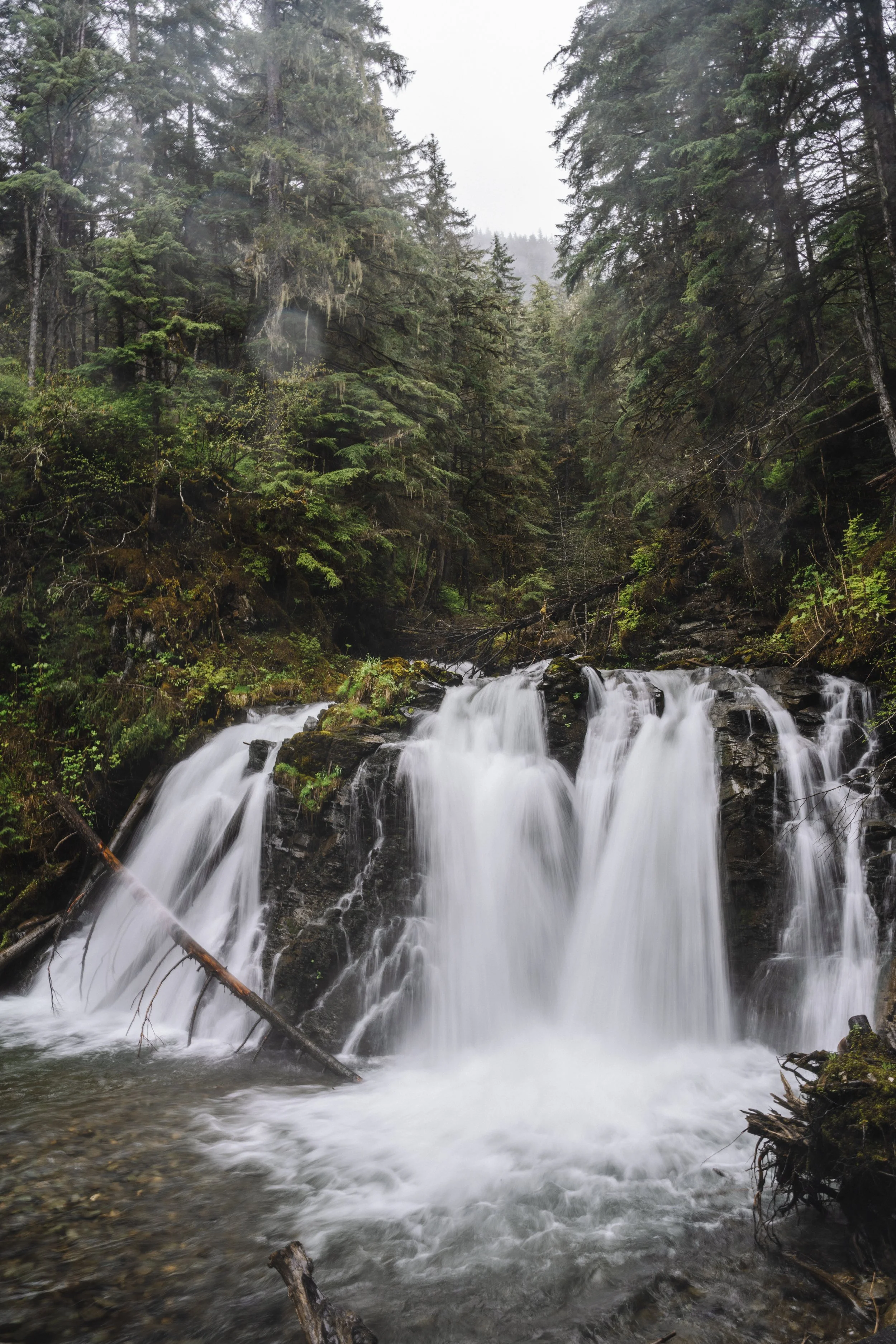 A waterfall flowing over rocks in a lush, green forest with tall trees surrounding the scene.