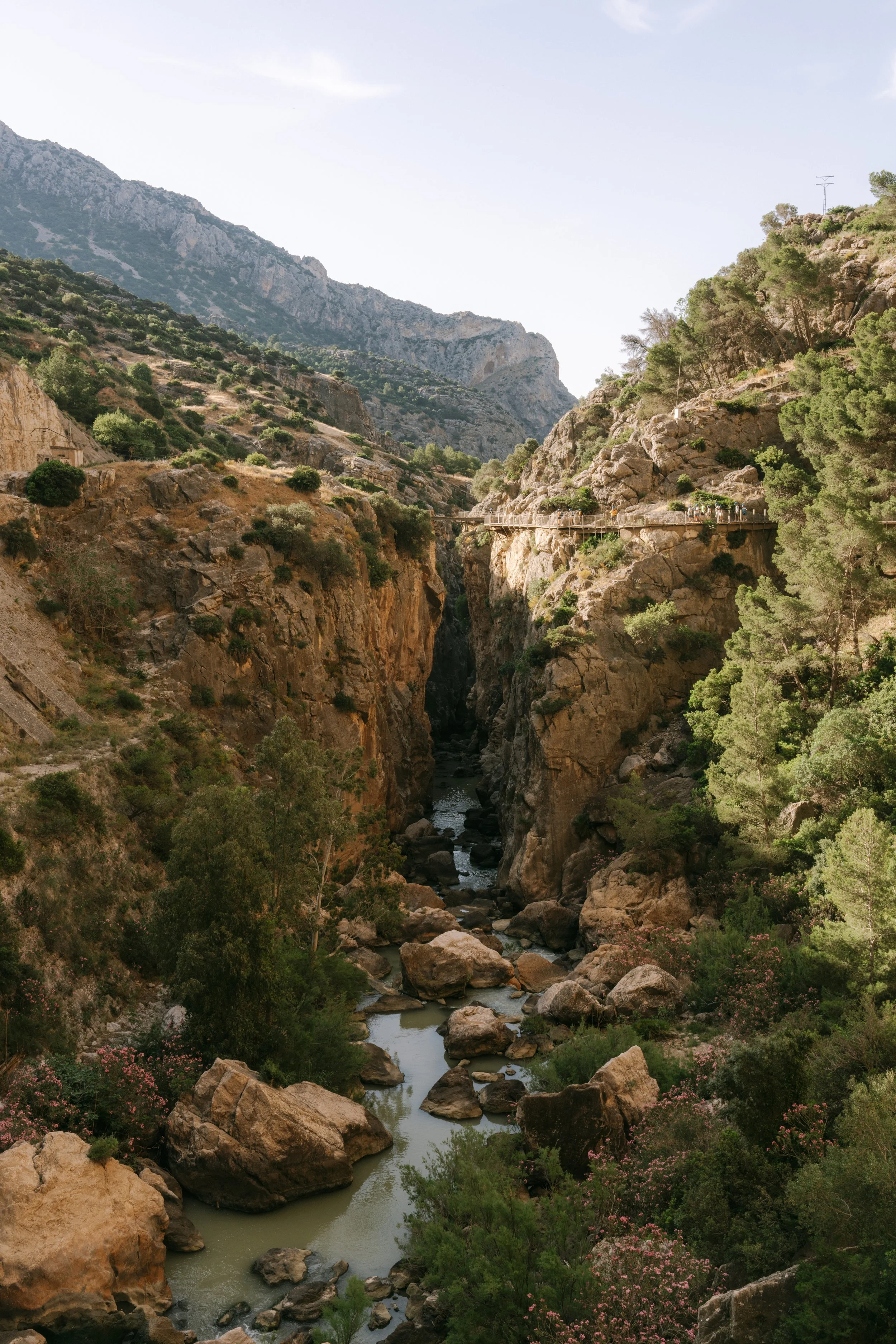 A scenic view of a deep canyon with a river flowing through the rocks, surrounded by green trees and rugged cliffs under a partly cloudy sky.