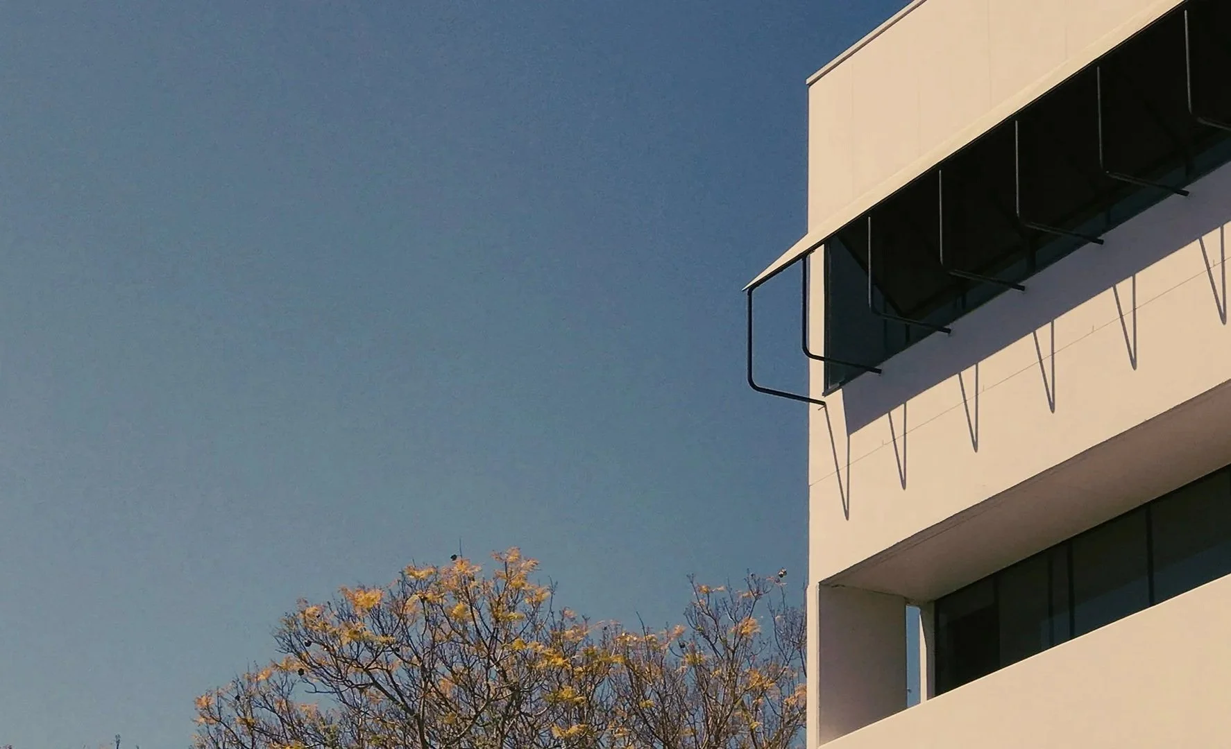 A modern white building with a black balcony railing, against a clear blue sky, with trees showing fall foliage at the bottom of the image.
