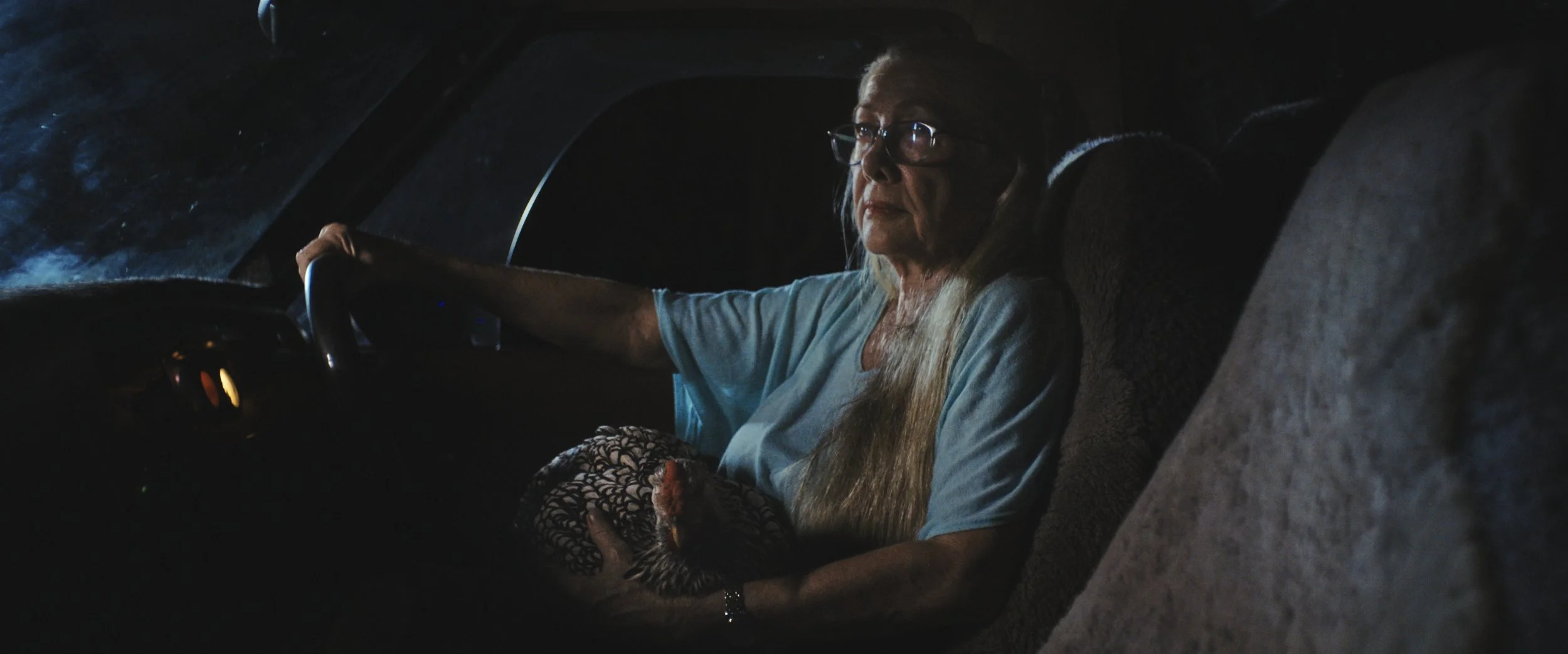 An elderly woman with long blonde hair, glasses, and a light blue shirt, sitting in the driver's seat of a vehicle at night, holding a rooster in her lap, with a serious expression on her face. Sill image from the short film, 'Bear', by Rebecca Parke