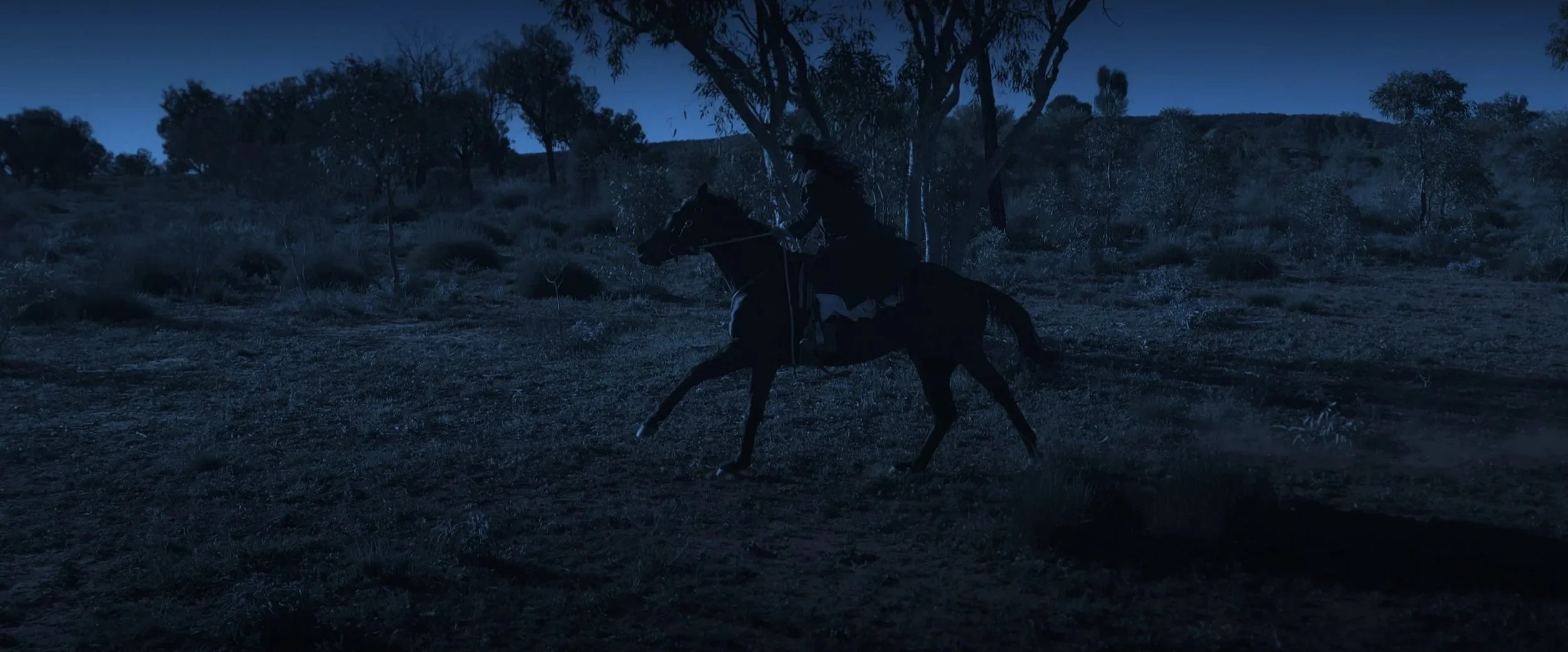 A person riding a horse at dusk in a natural landscape with trees and shrubs.