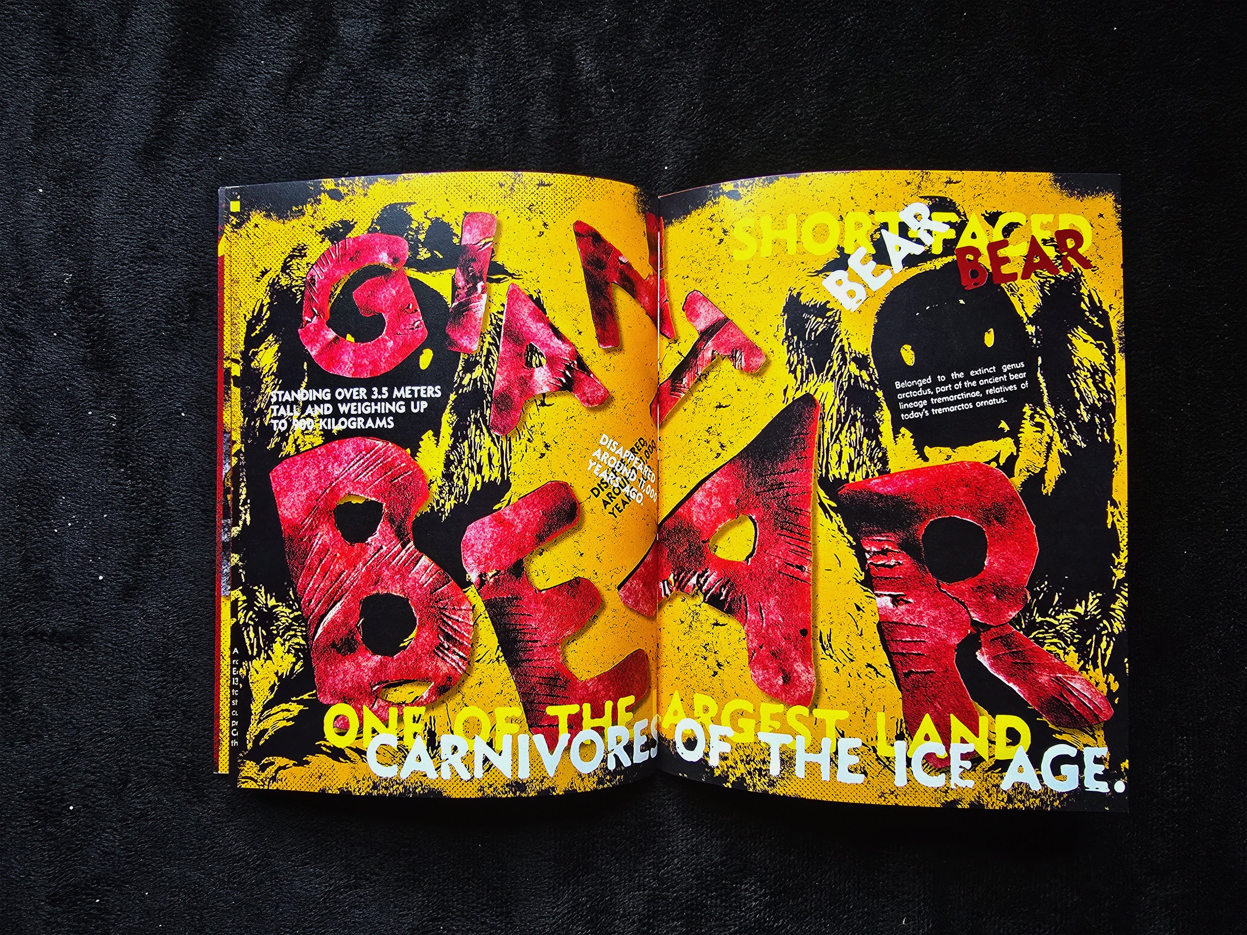 Giantbear-Spreads.jpg