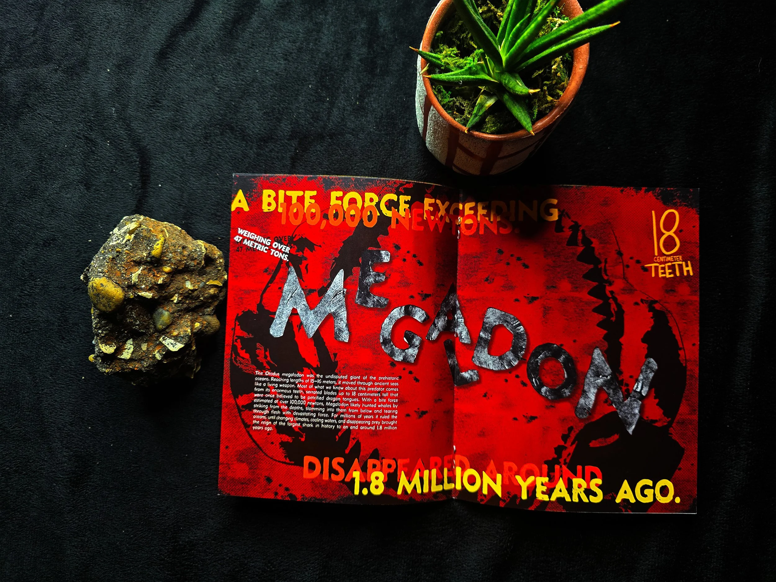 Megaldon-Spread.jpg