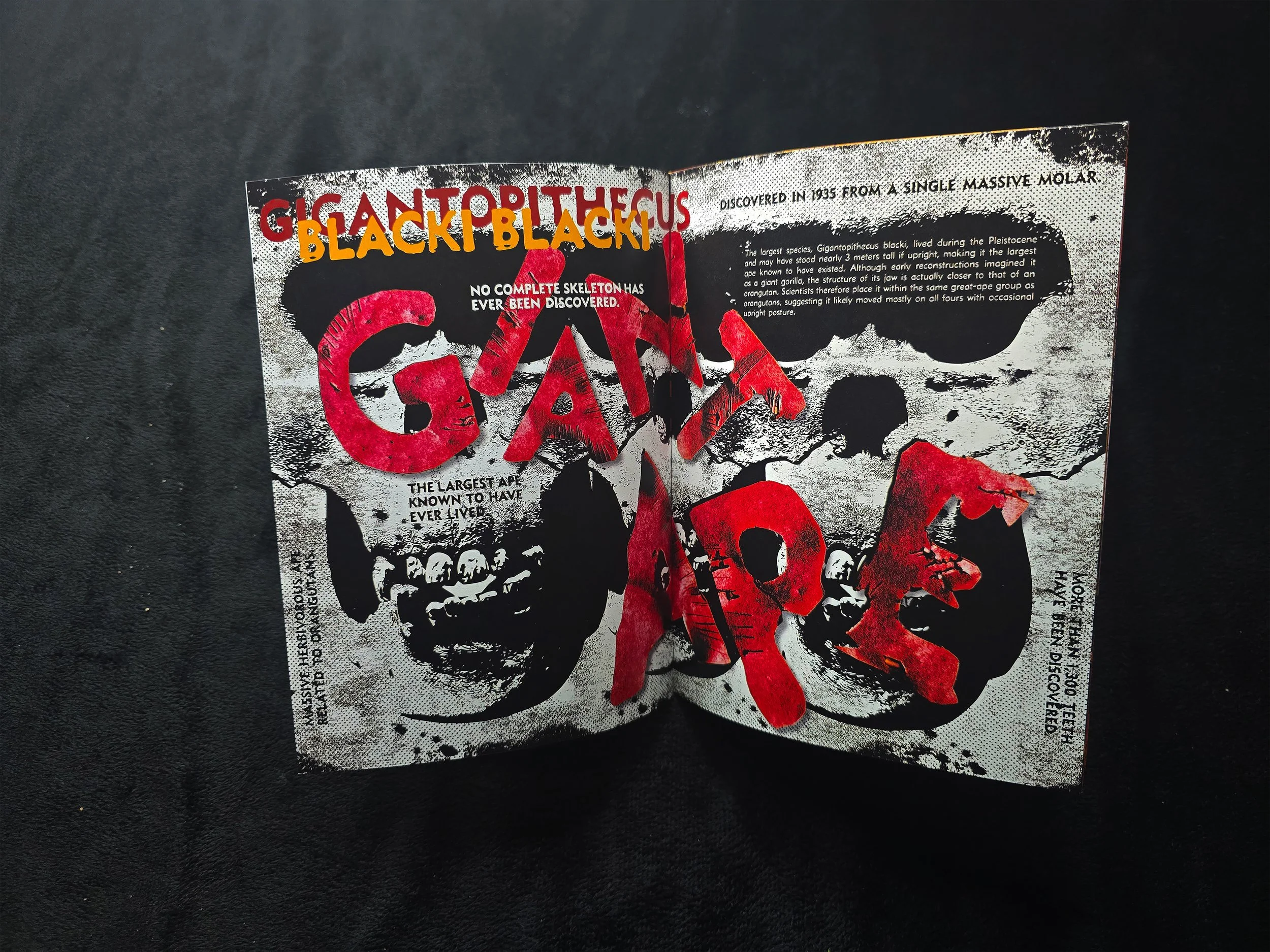Giantape-Spreads.jpg