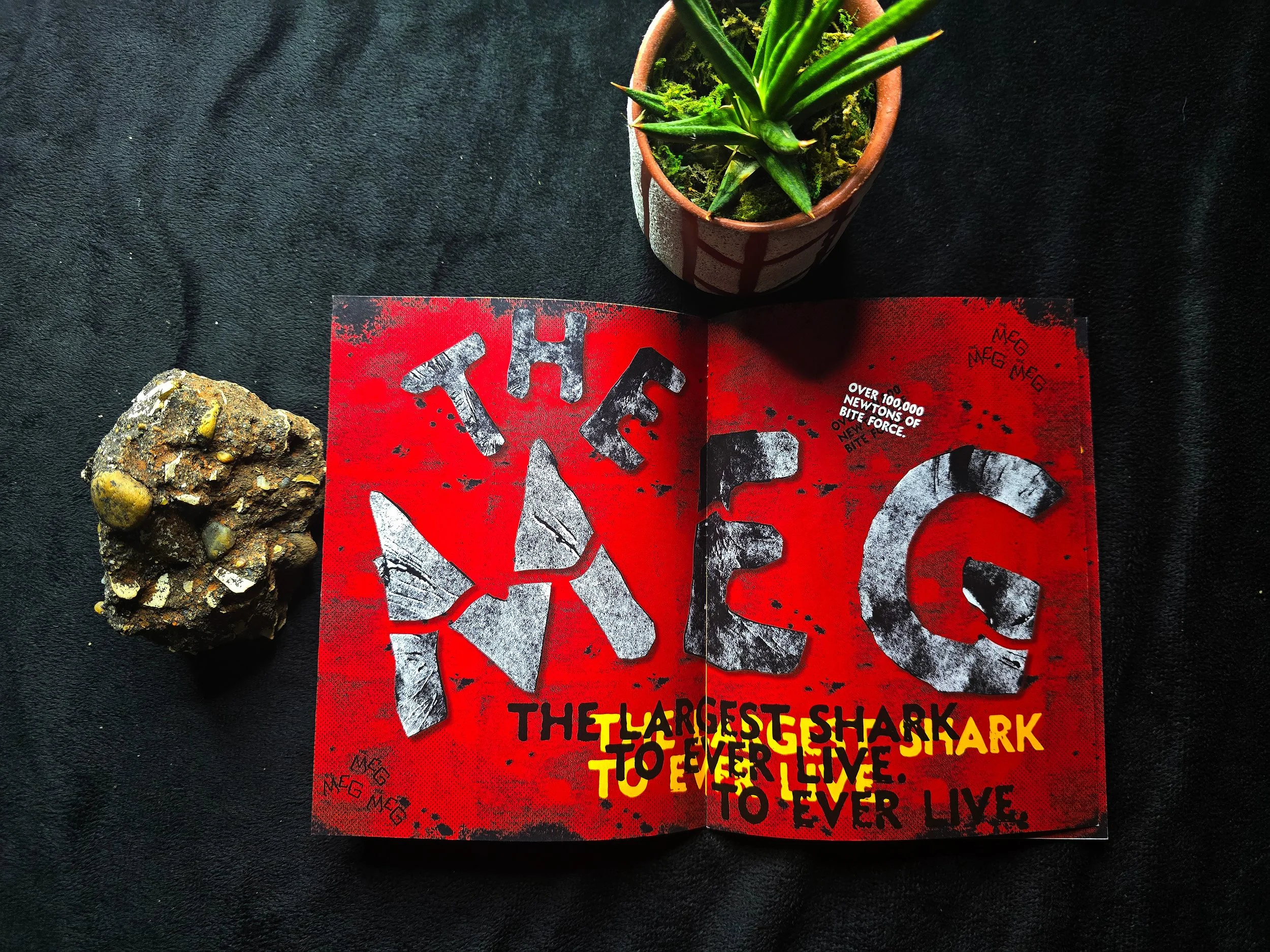 The Meg-Spread.jpg