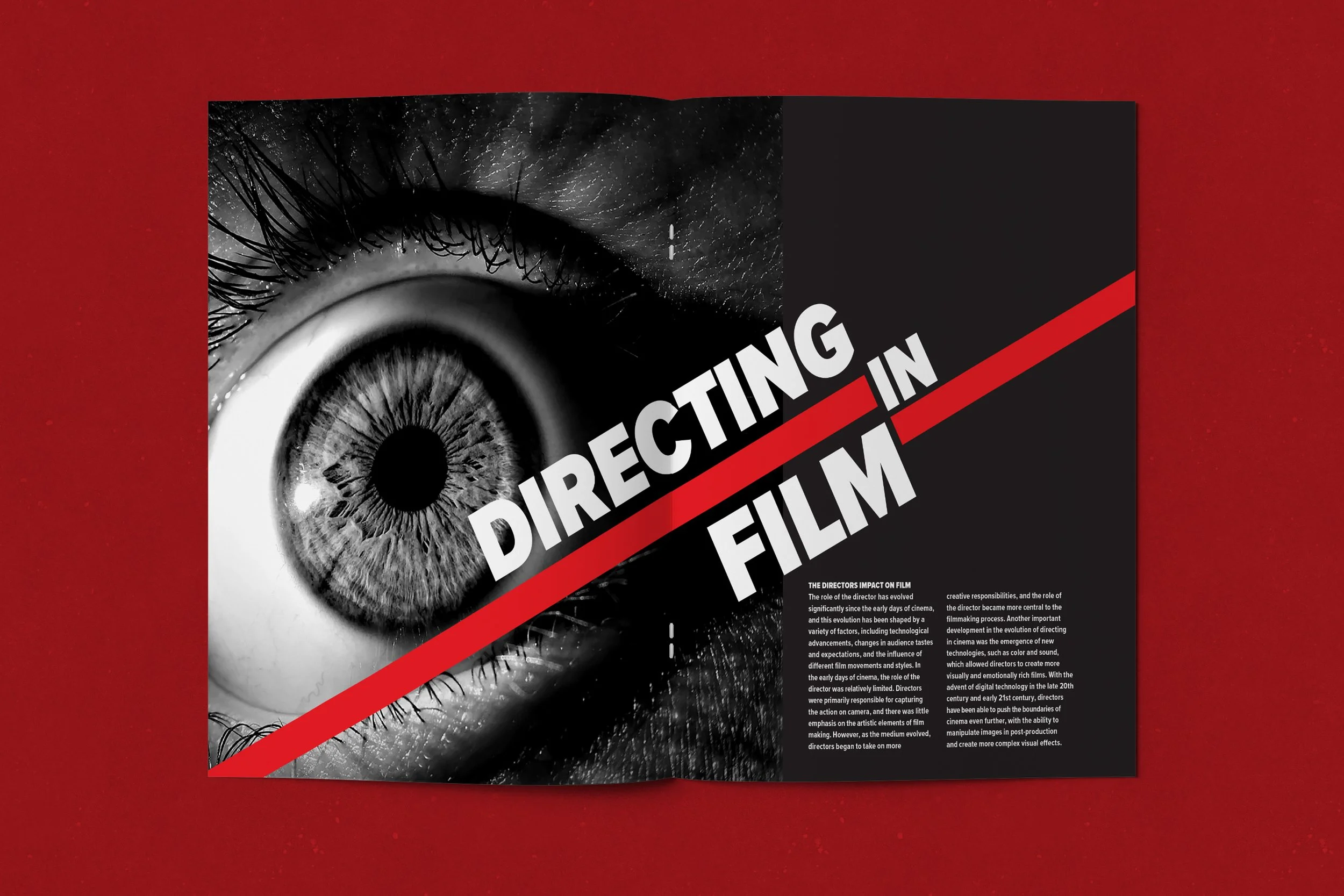 zine_mockup 11 copy 11.jpg