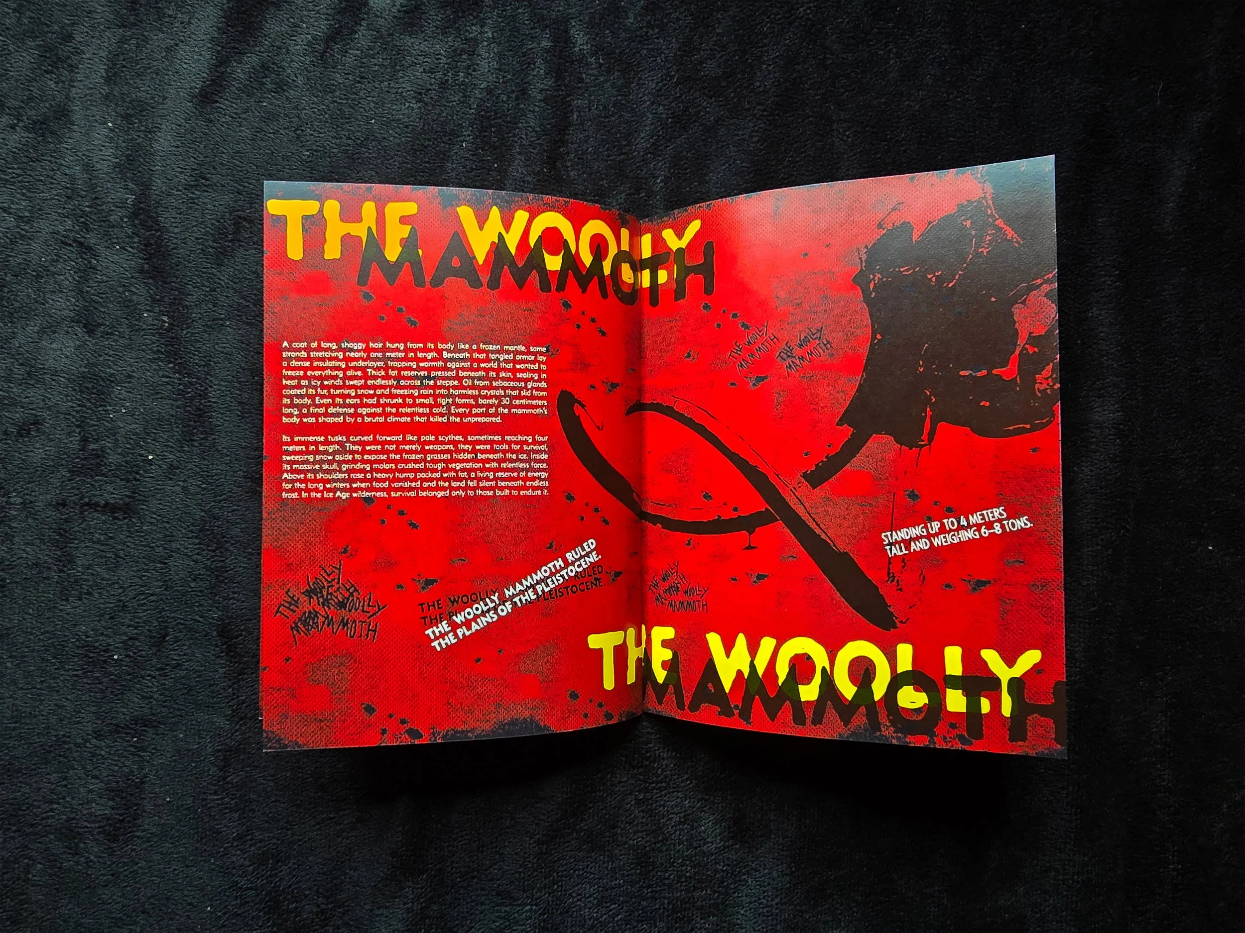 Woollymammoth-Spread.jpg