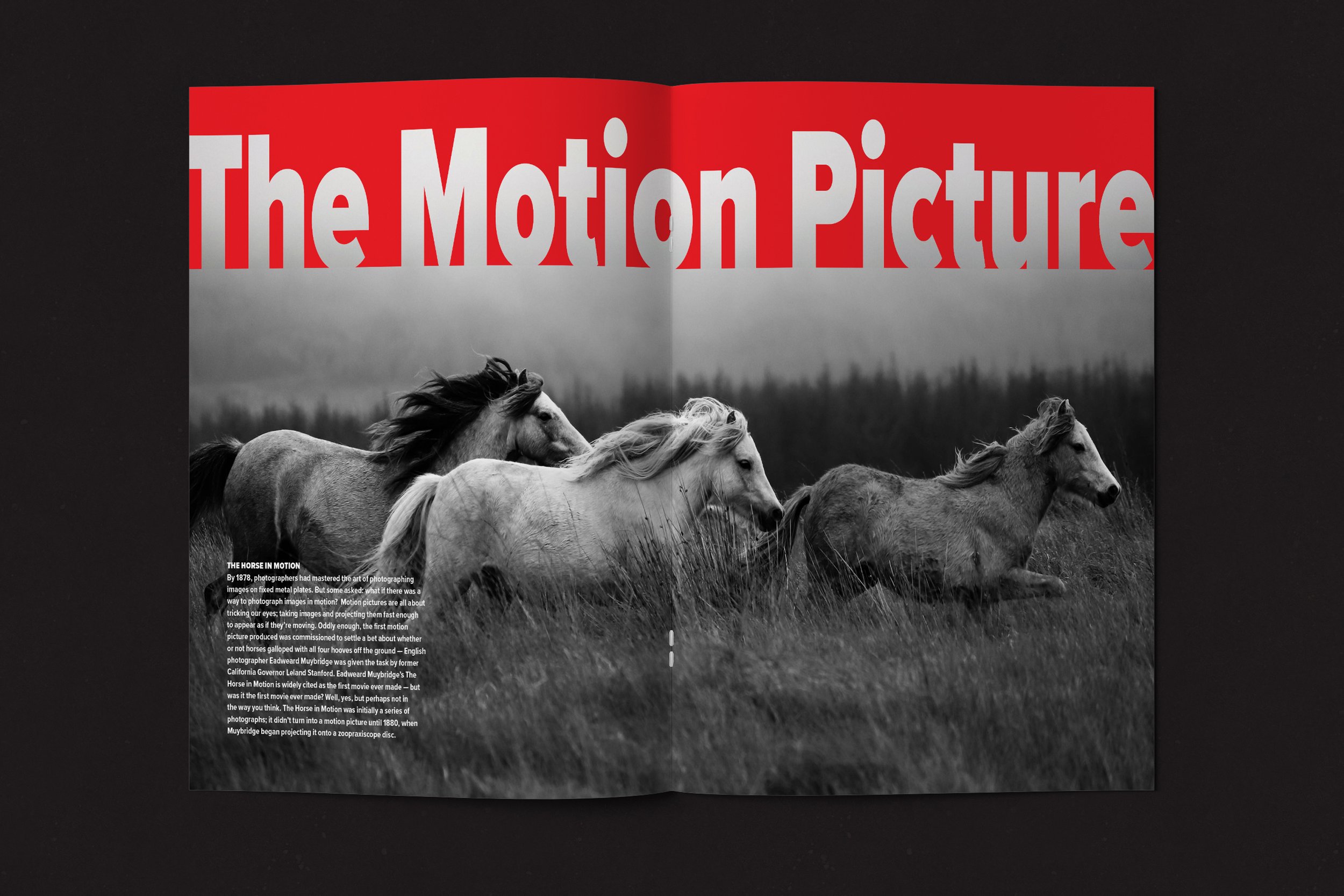 zine_mockup 5 copy 5.jpg