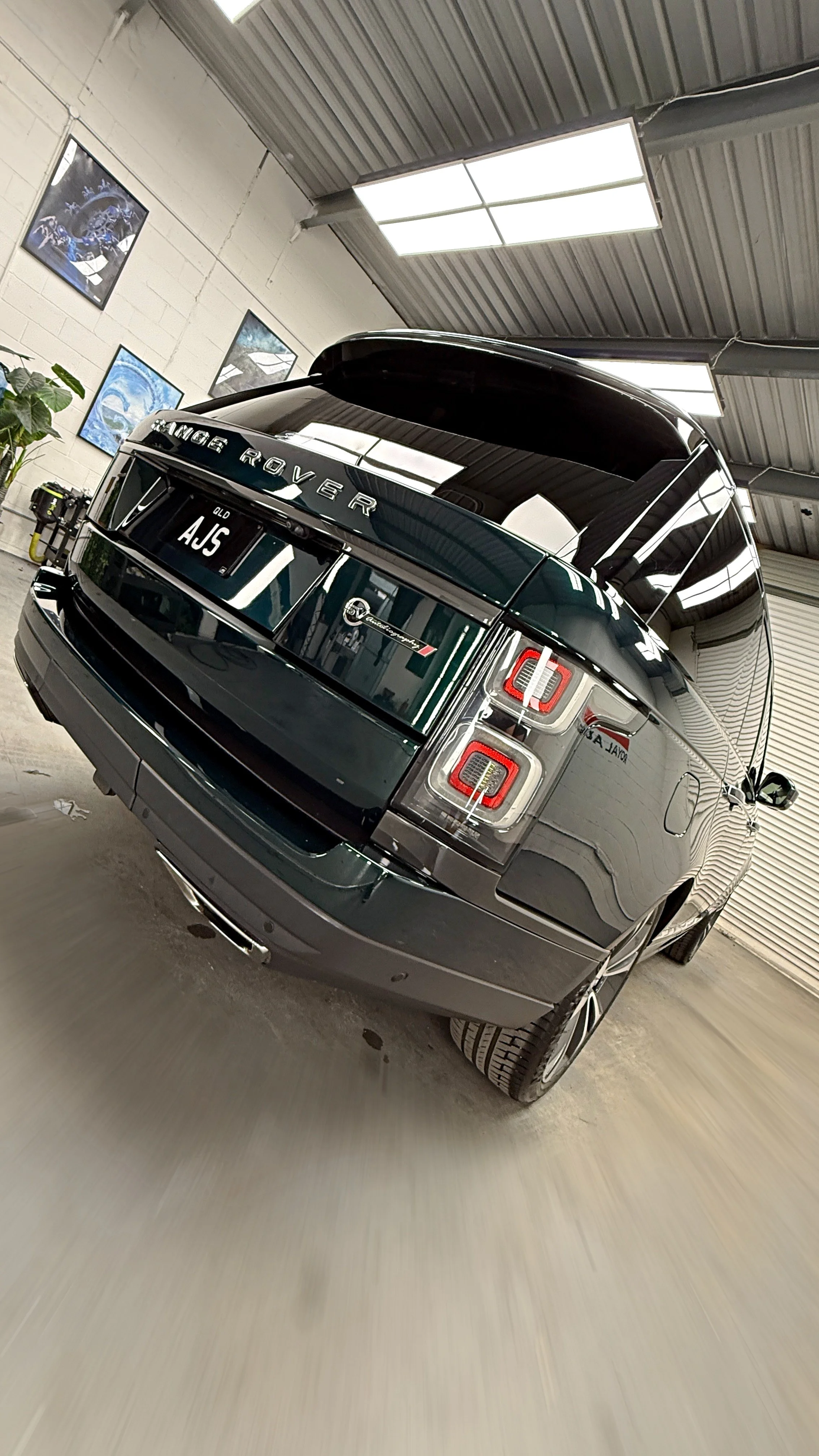 REAR 0.5 II.jpg