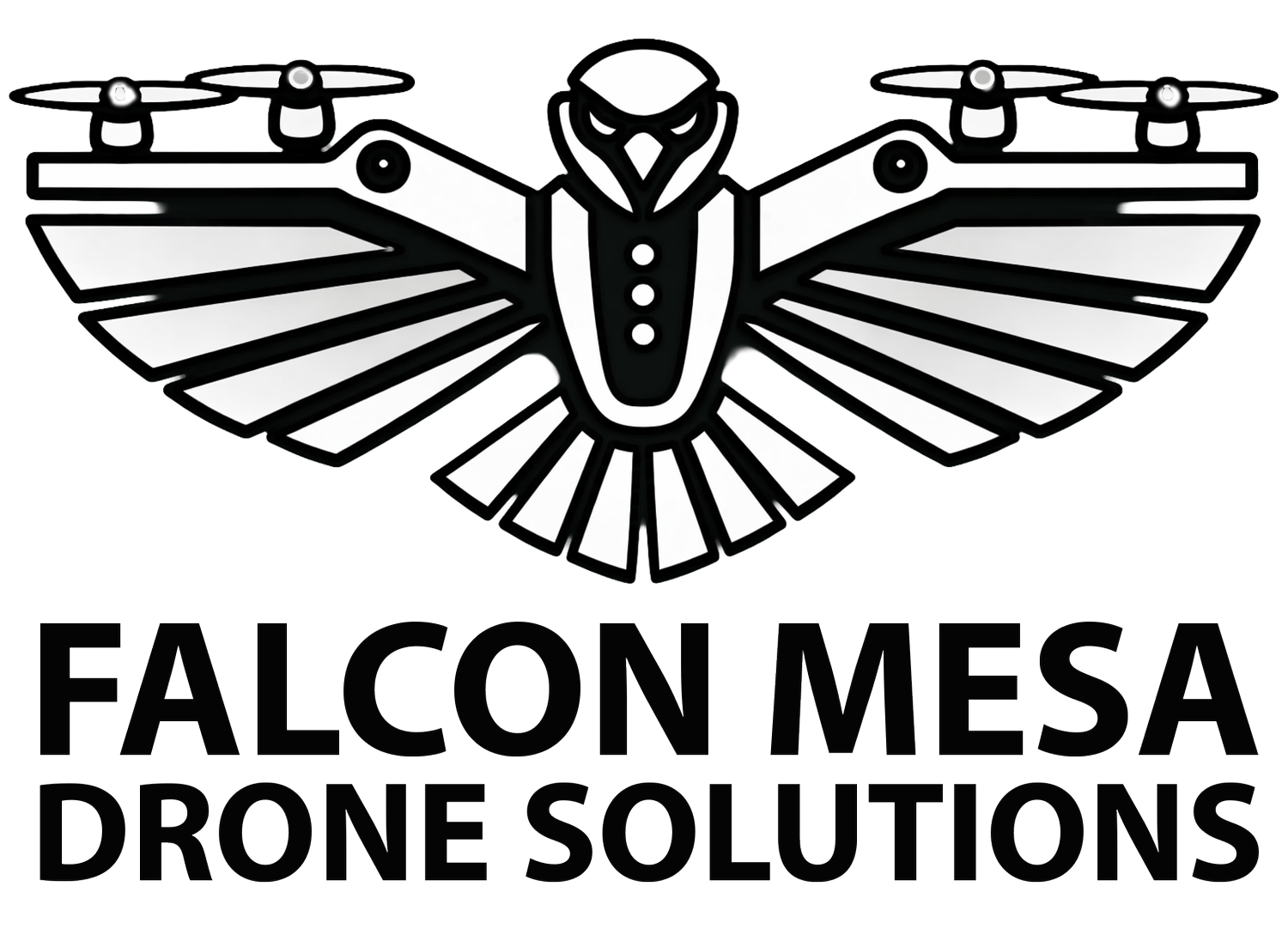 FALCON MESA DRONE