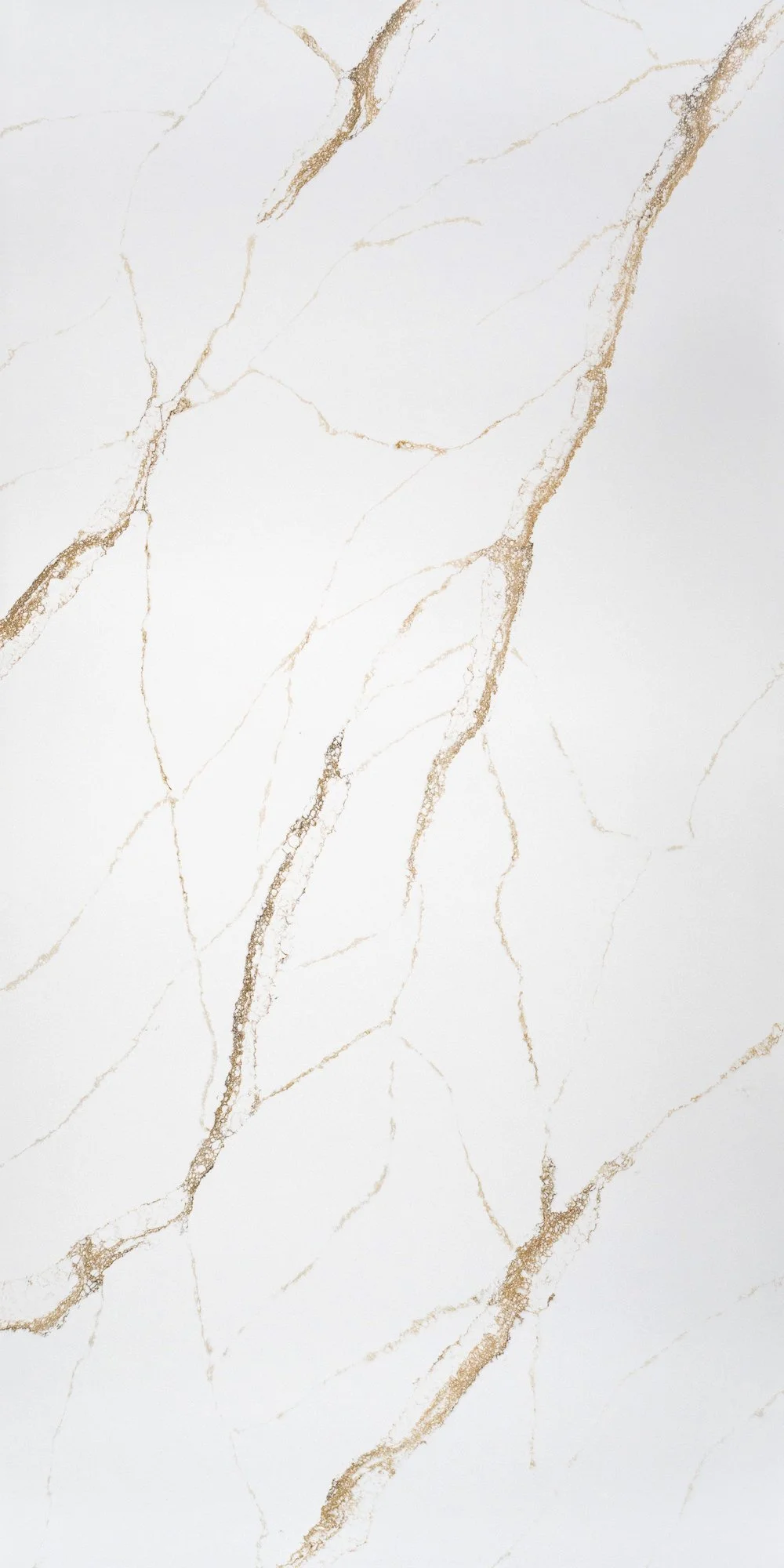 MQ-737_Tranquility Gold