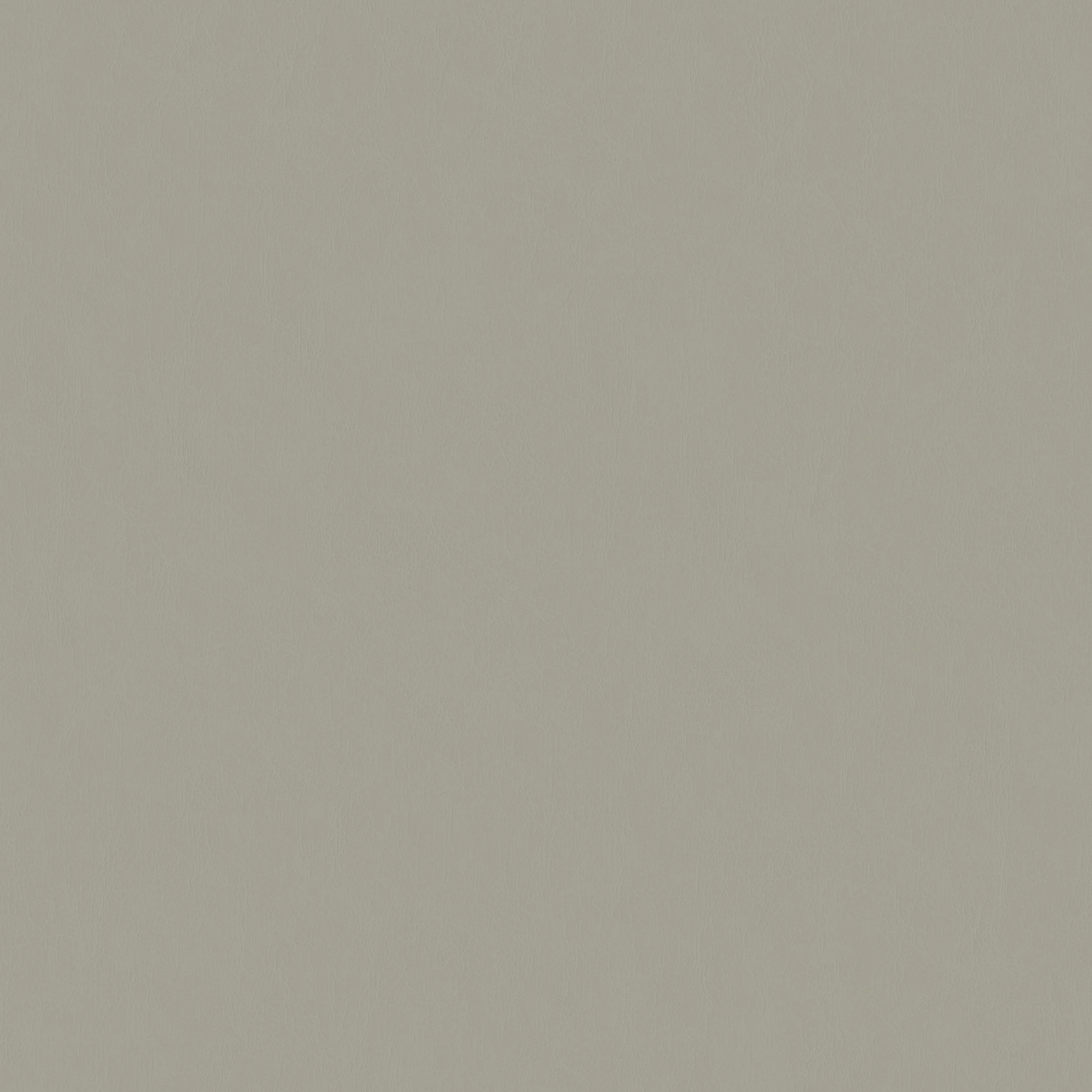 T8080 Light Grey Leather Texture