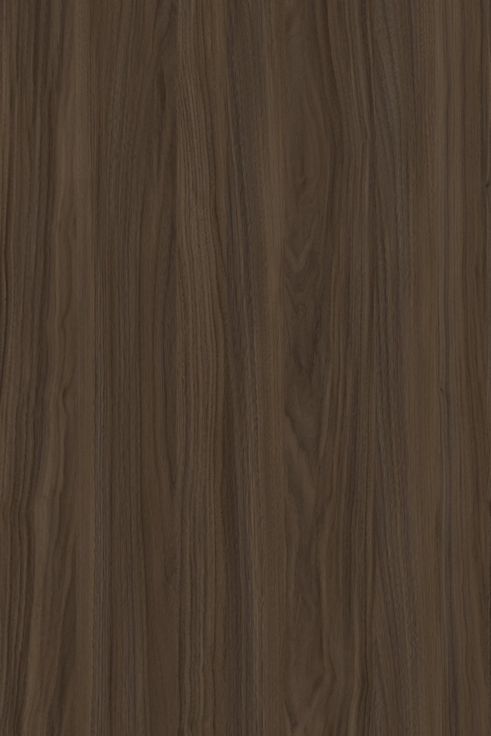US7035 Hera Dark Walnut