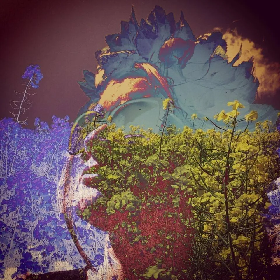 Double exposure image combining a person's profile with colorful flowers and a blue flower, creating an artistic, surreal effect.