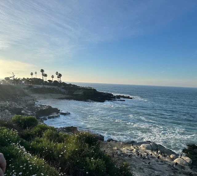 Master the art of artisan sourdough in a hands-on class set in a relaxed, coastal La Jolla setting.