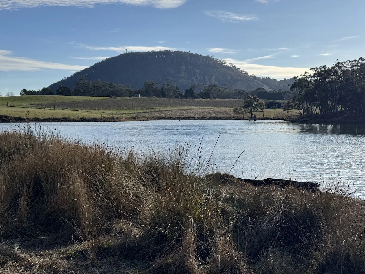 A tranquil landscape featuring a body of water in the foreground, with tall grasses along the shoreline. In the background, there are rolling hills and a mountain with trees and a few structures, under a partly cloudy sky.