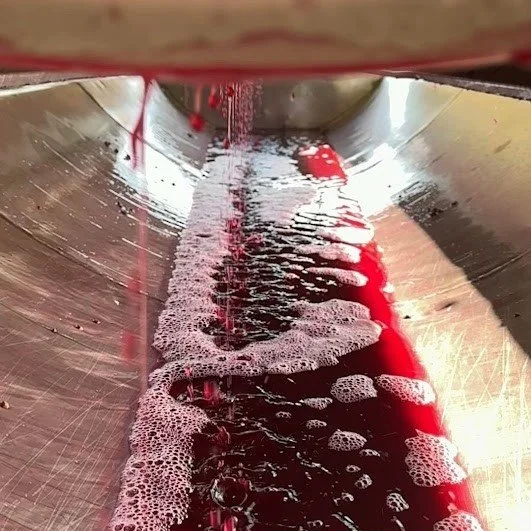 Pinot noir juice in the press