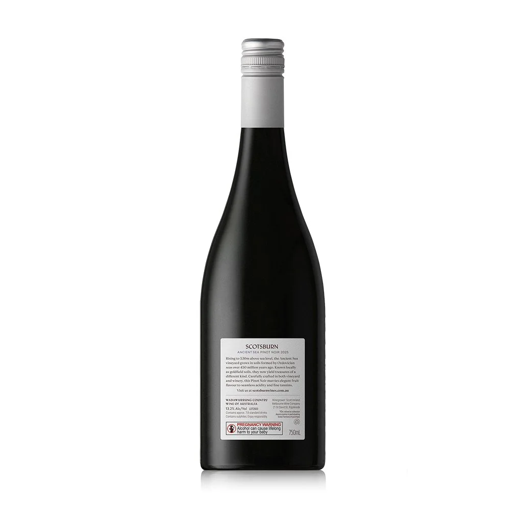 ancientpinot_b_thumb.jpg