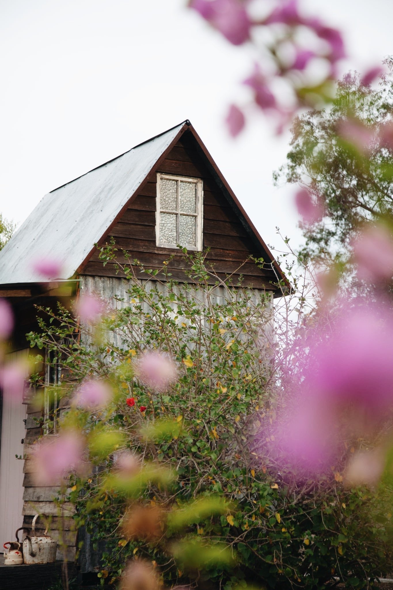 The Flower Hut at Wild Acres Flower Farm Flower in Veradilla, Queensland.