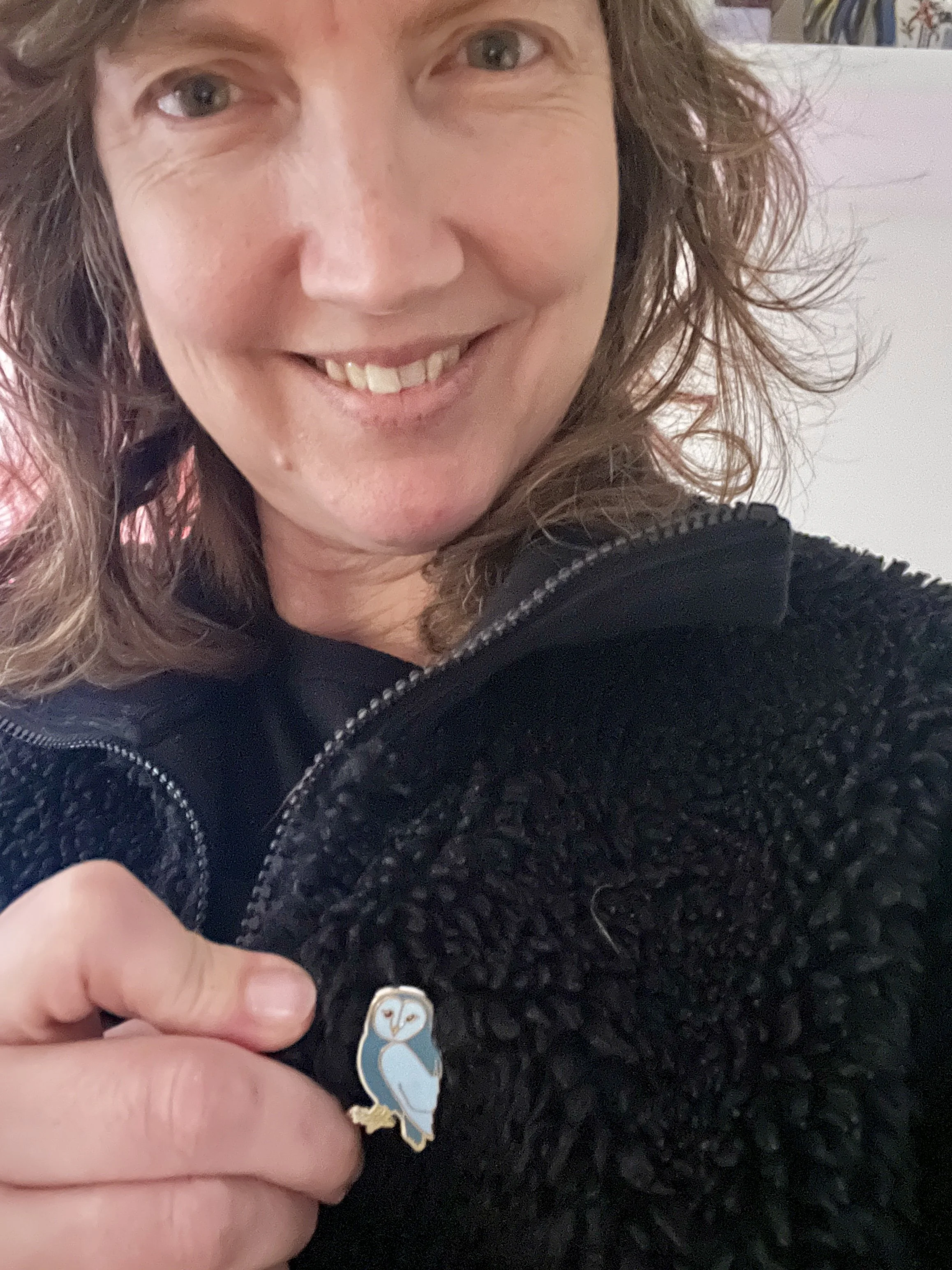 Blue enamel lapel pin of an owl