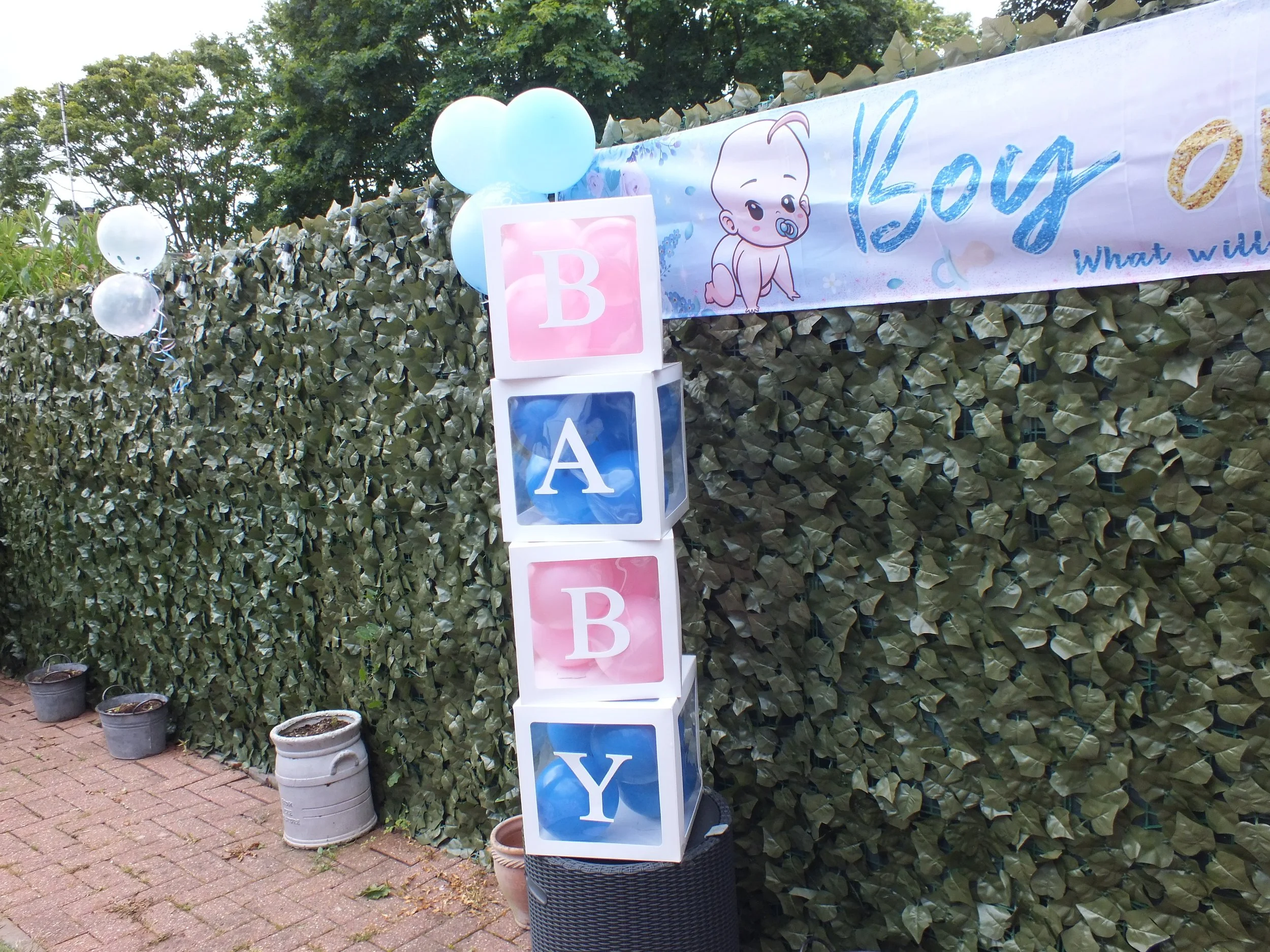 Baby T's Gender Reveal