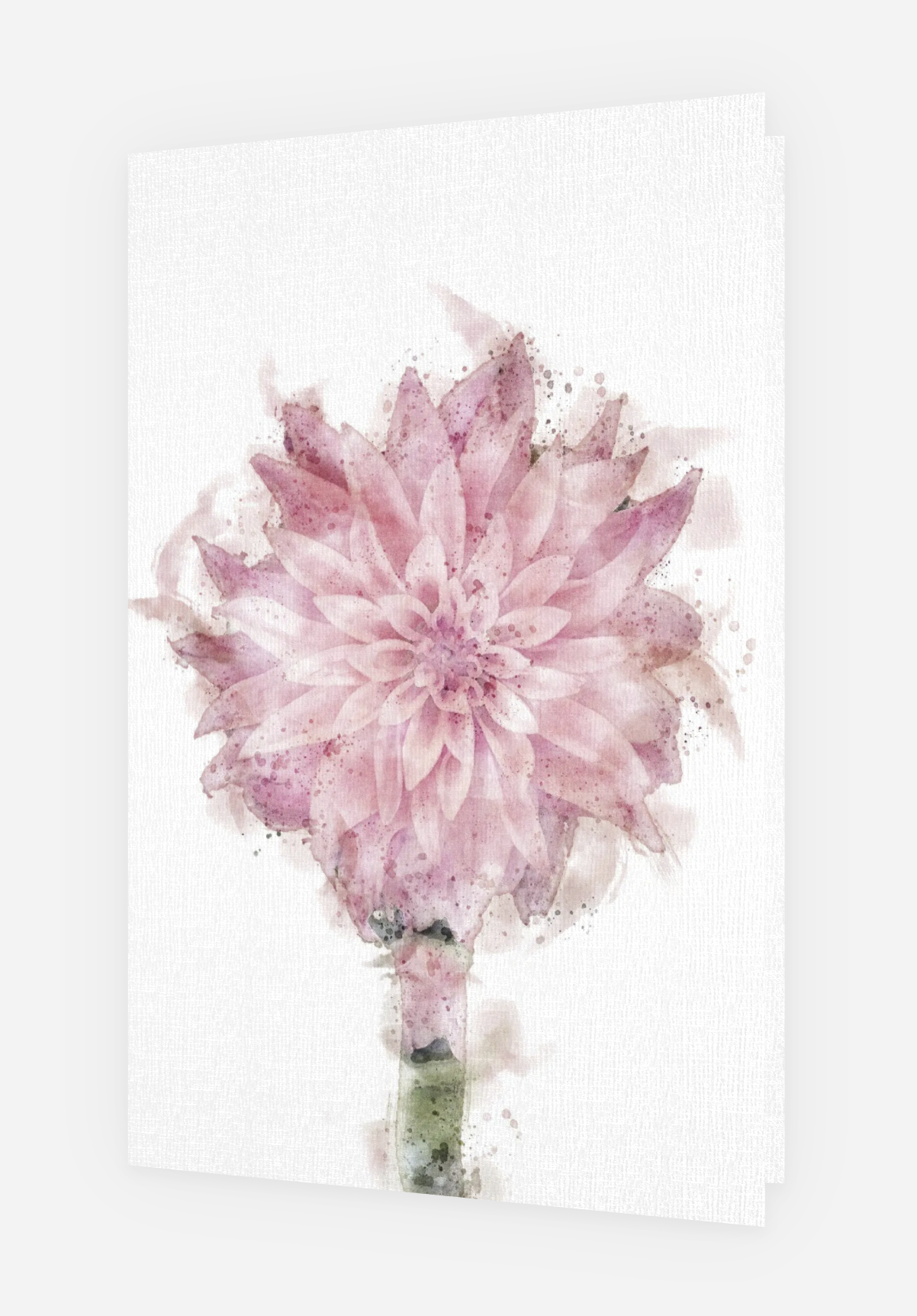 Screenshot 2025-03-16 at 11.35.31 AM.png