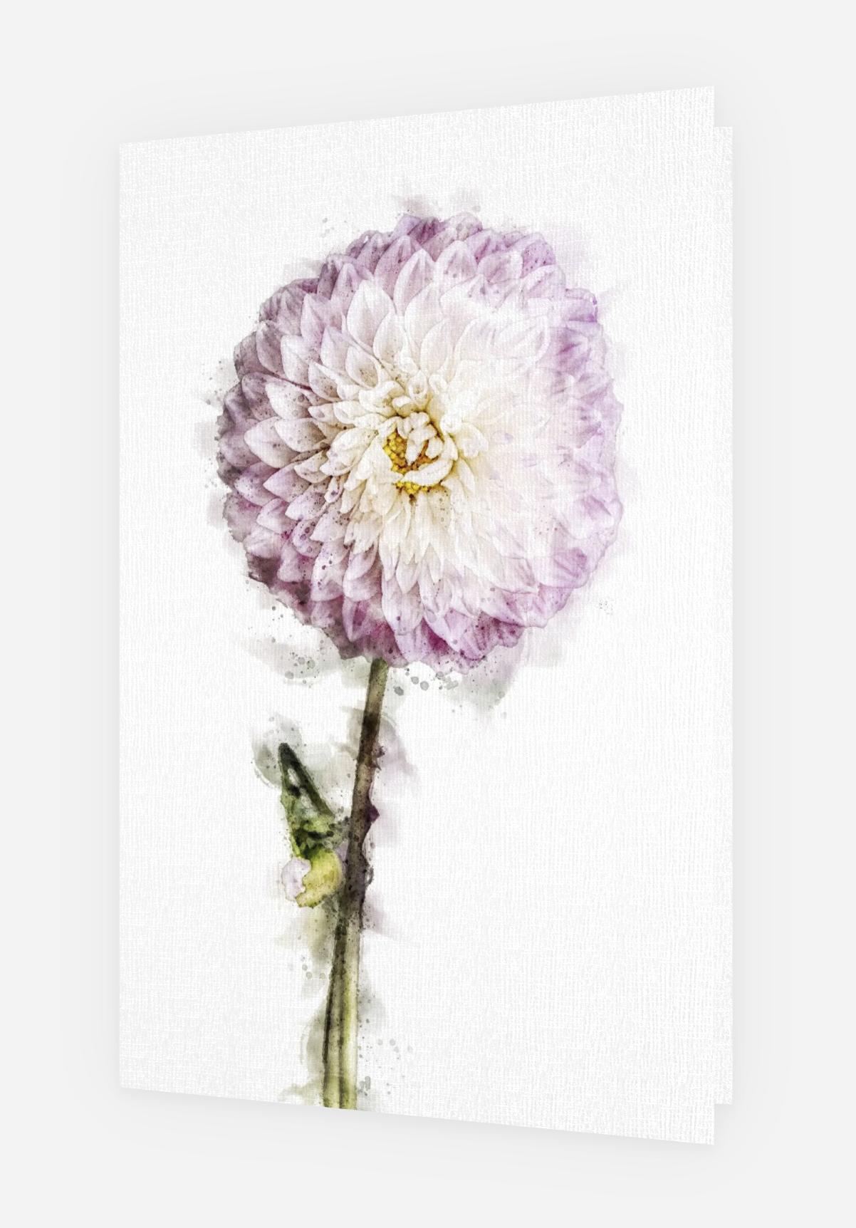 Screenshot 2025-03-16 at 11.39.36 AM.png