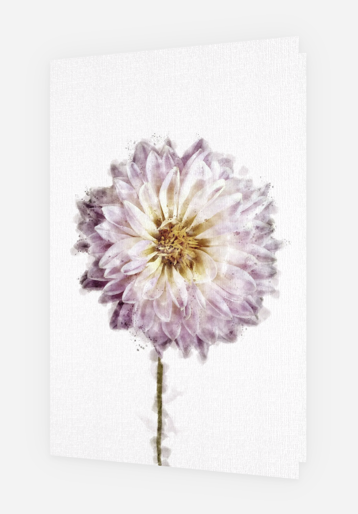 Screenshot 2025-03-16 at 11.26.12 AM.png