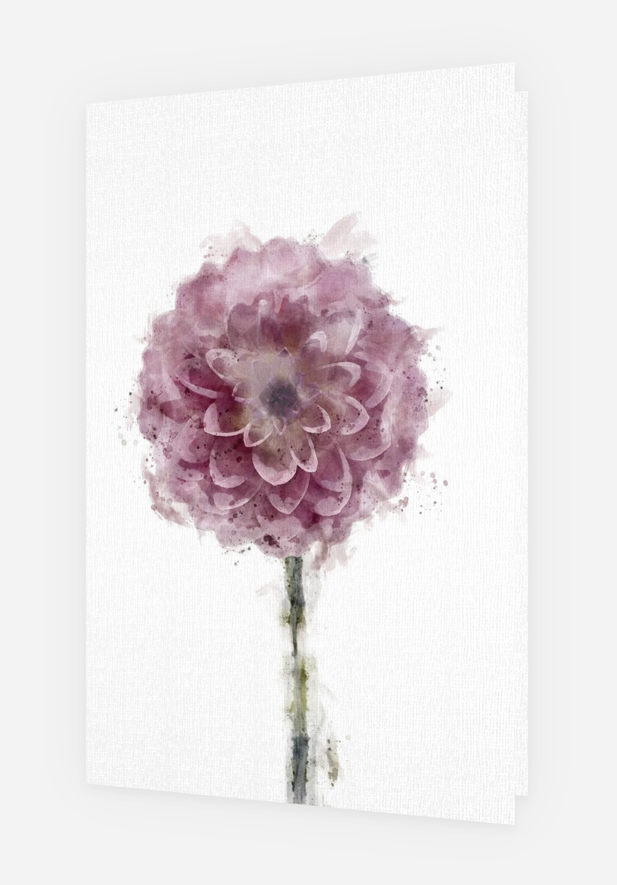 Screenshot 2025-03-16 at 11.29.12 AM.png