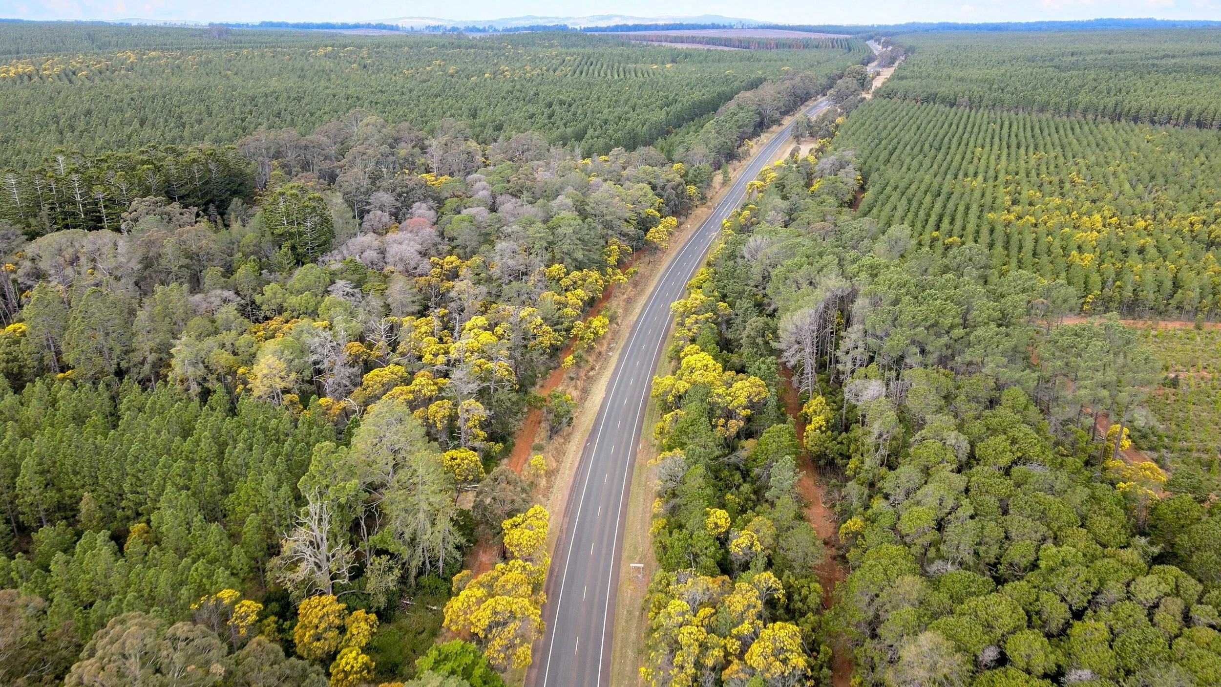 High Country Hamlets New England Highway.webp