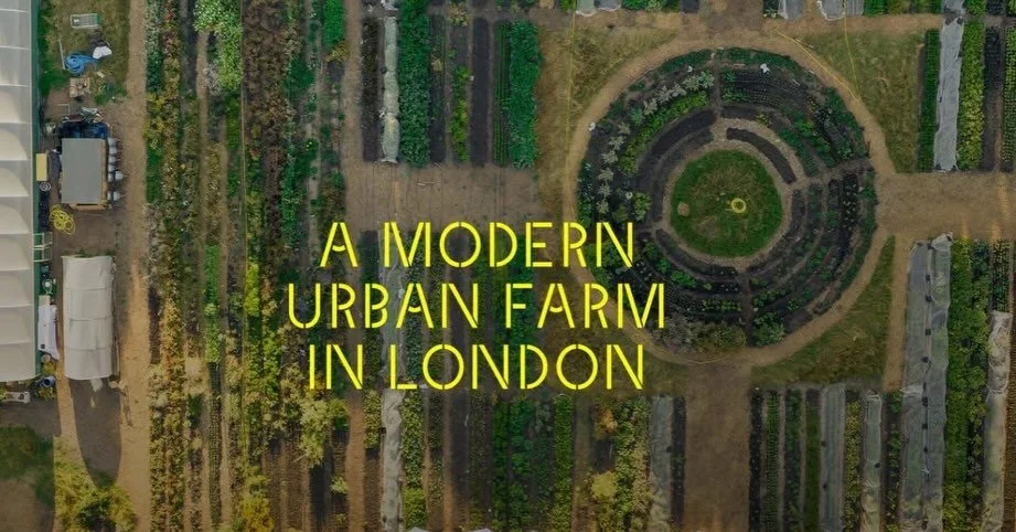 🌿 Nature &amp; Adventure Day &ndash; Farm Visit 🌿

On Tuesday 21st April, our Nature &amp; Adventure group will be visiting a beautiful 2-acre farm in Shooters Hill for a private home education workshop.
Children will explore the ecosystem of a wor