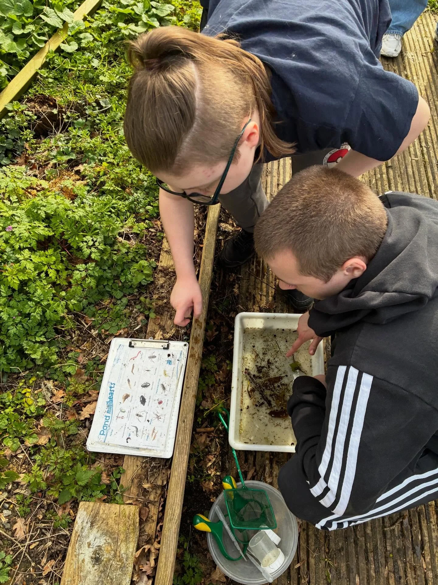 Today our science group had an amazing time at a pond dipping workshop at the @hornimanmuseumgardens 🌿

We explored the local pond using nets, discovering a variety of fascinating creatures, and ventured along the wild Nature Trail to learn more abo