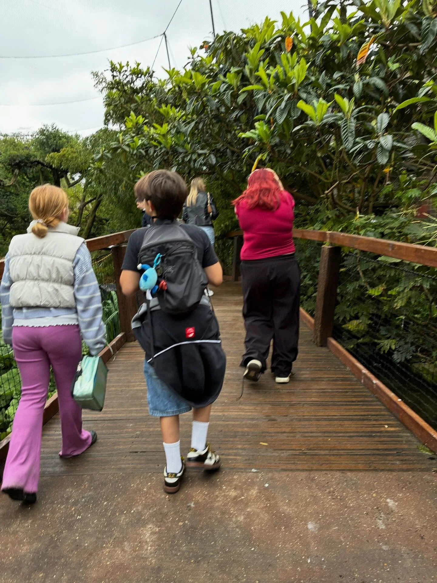 Such a brilliant day at the London Zoo 🐾

We managed to explore more than half the zoo and tick off everything we hoped to see! Highlights had to be the reptile house 🐍, spotting the lions having a lazy snooze 🦁, walking right through the monkey e