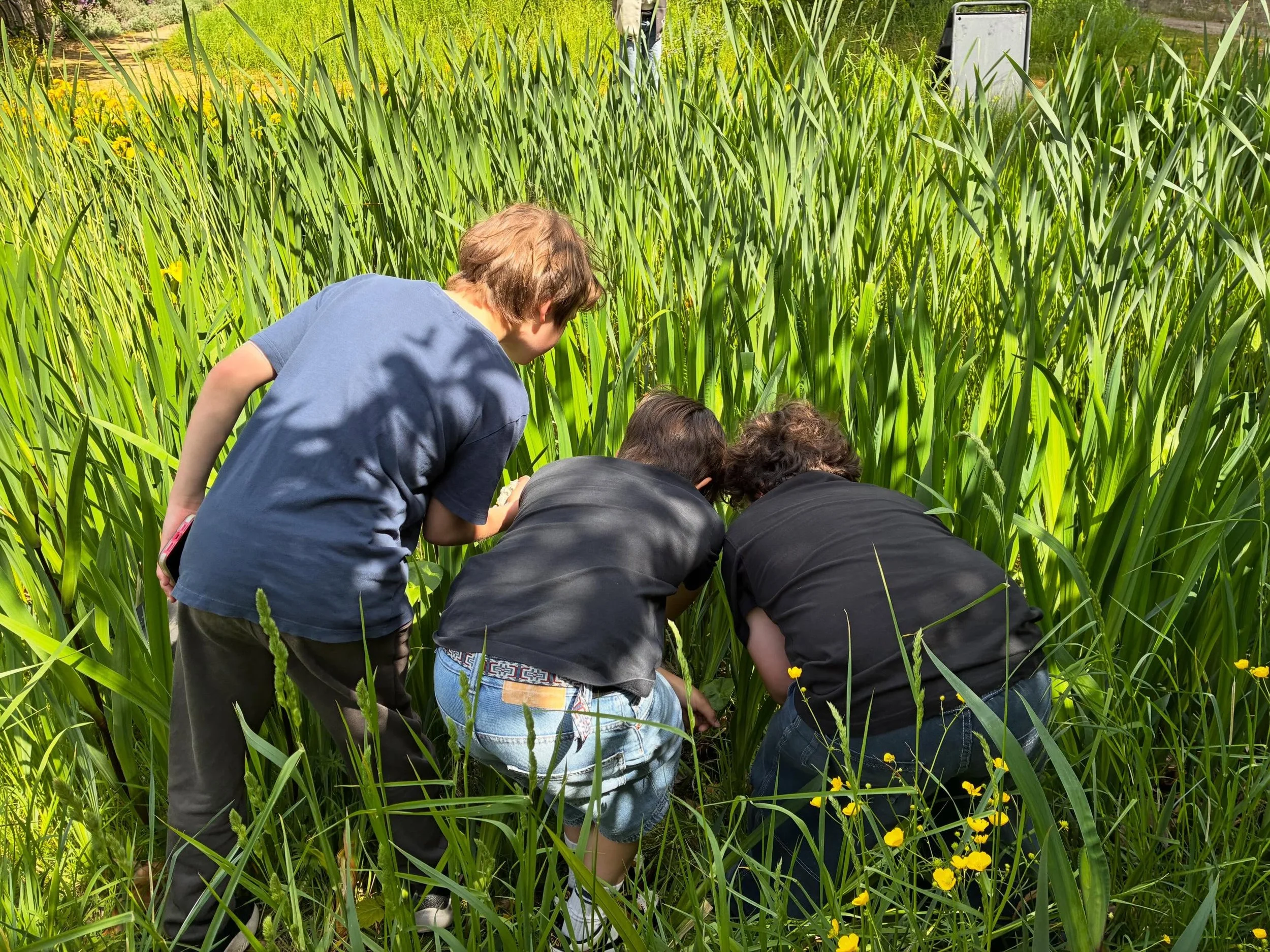 Today we enjoyed a wonderful day of nature exploration and games. The children were fascinated observing tadpoles in the pond and spotting frogs of all sizes, from tiny baby frogs to fully grown adults. We watched them swimming through the water and 