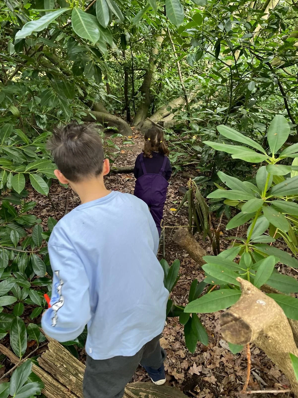 Two children walking on a muddy trail through dense green forest, surrounded by large leafy bushes and trees.