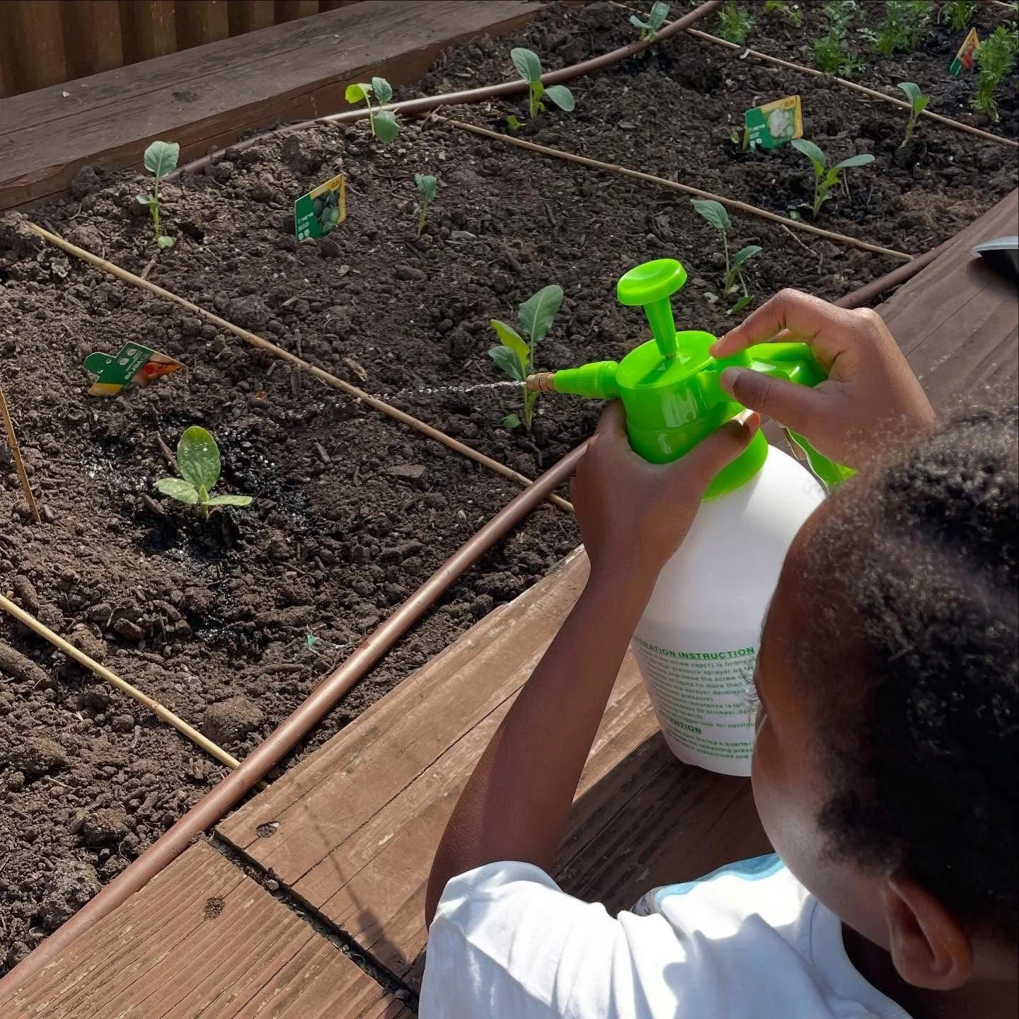 A child watering young plants in a garden bed with a green spray bottle.