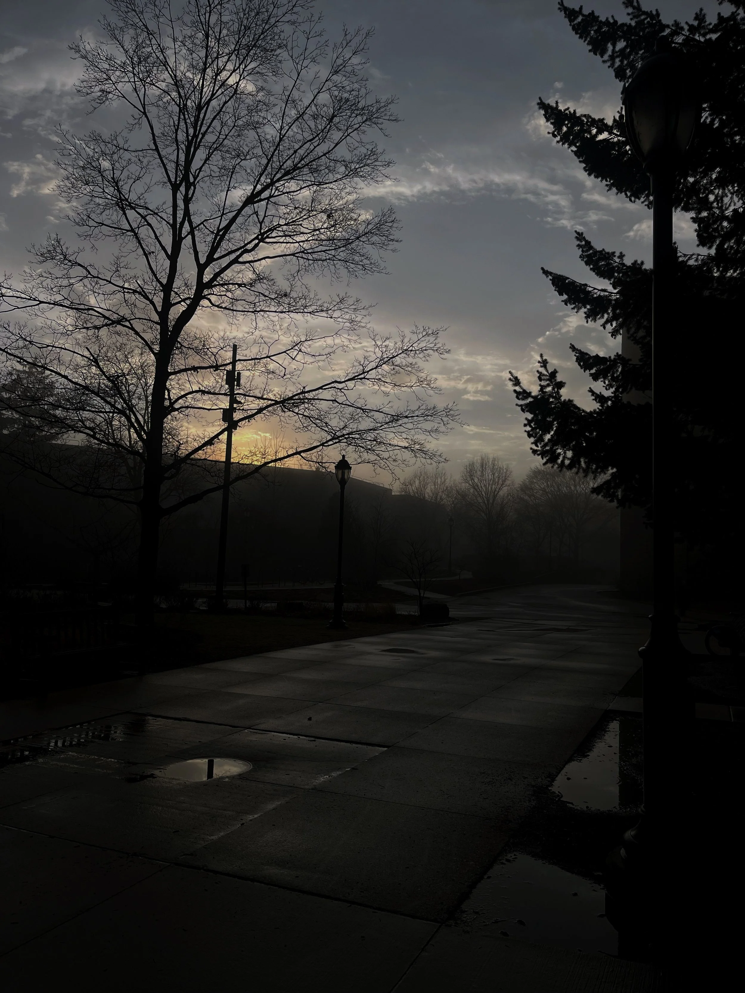 IMG_3510.jpeg