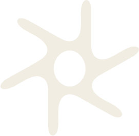 A white silhouette of a starfish on a black background.