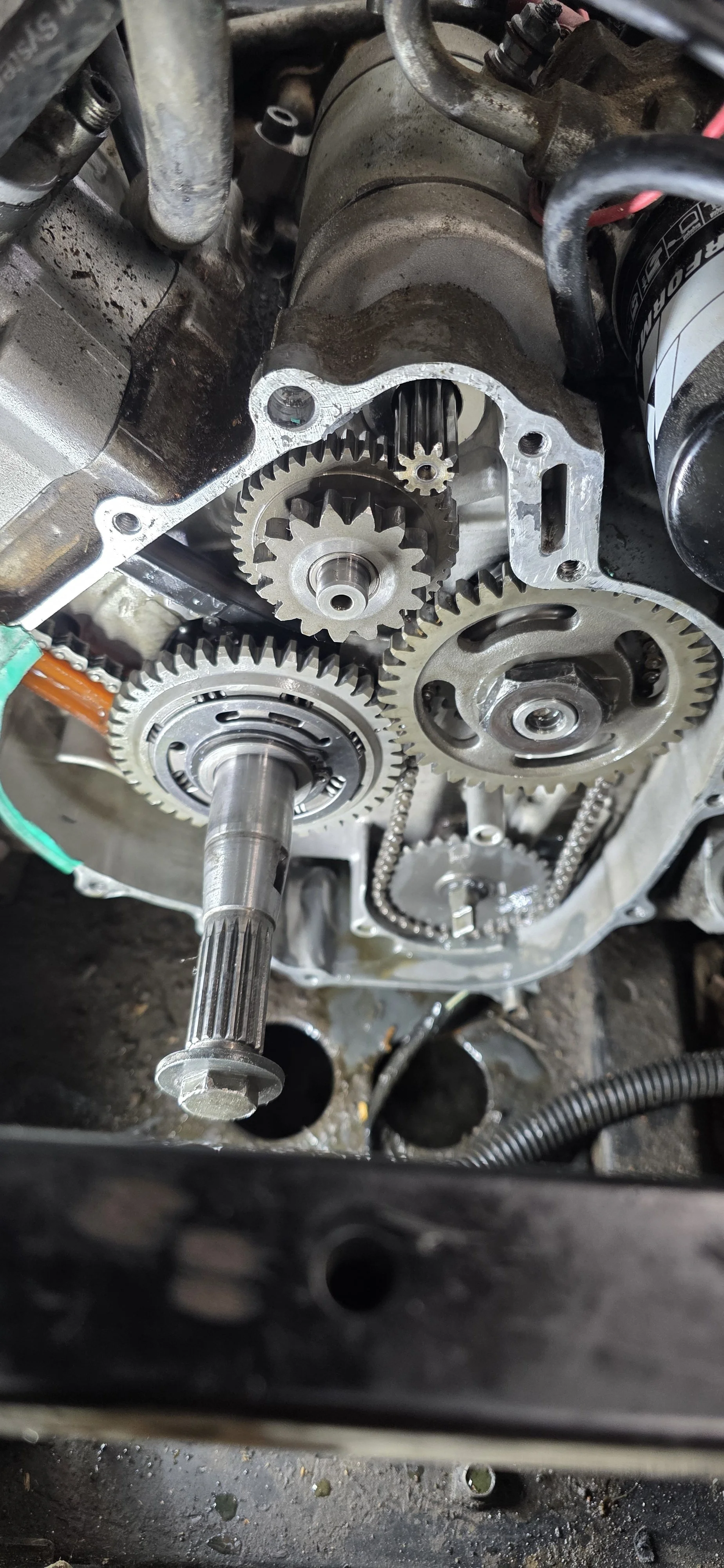 Close-up of an engine's timing chain and gears, showing internal mechanical components.