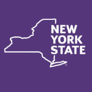 CAS and CANS-NY Assessment Informational Session- In person