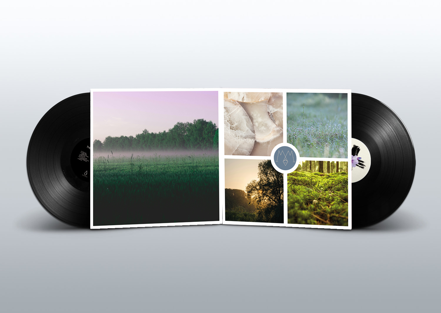 Mockup Vinyl innen