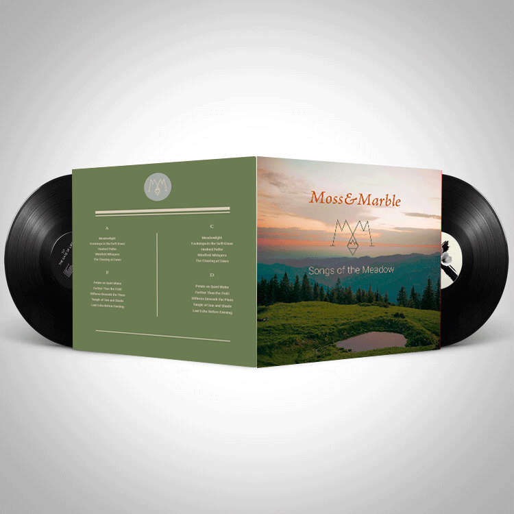 Mockup Gatefold Vinyl außen