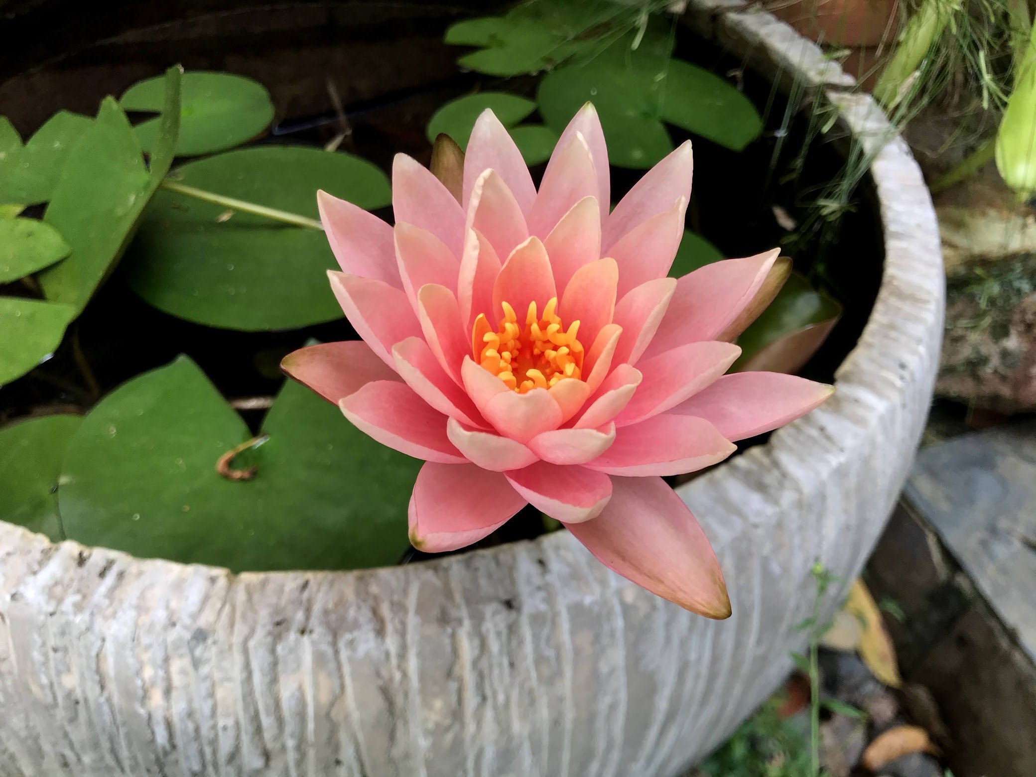 Personal recovery in eating disorder support