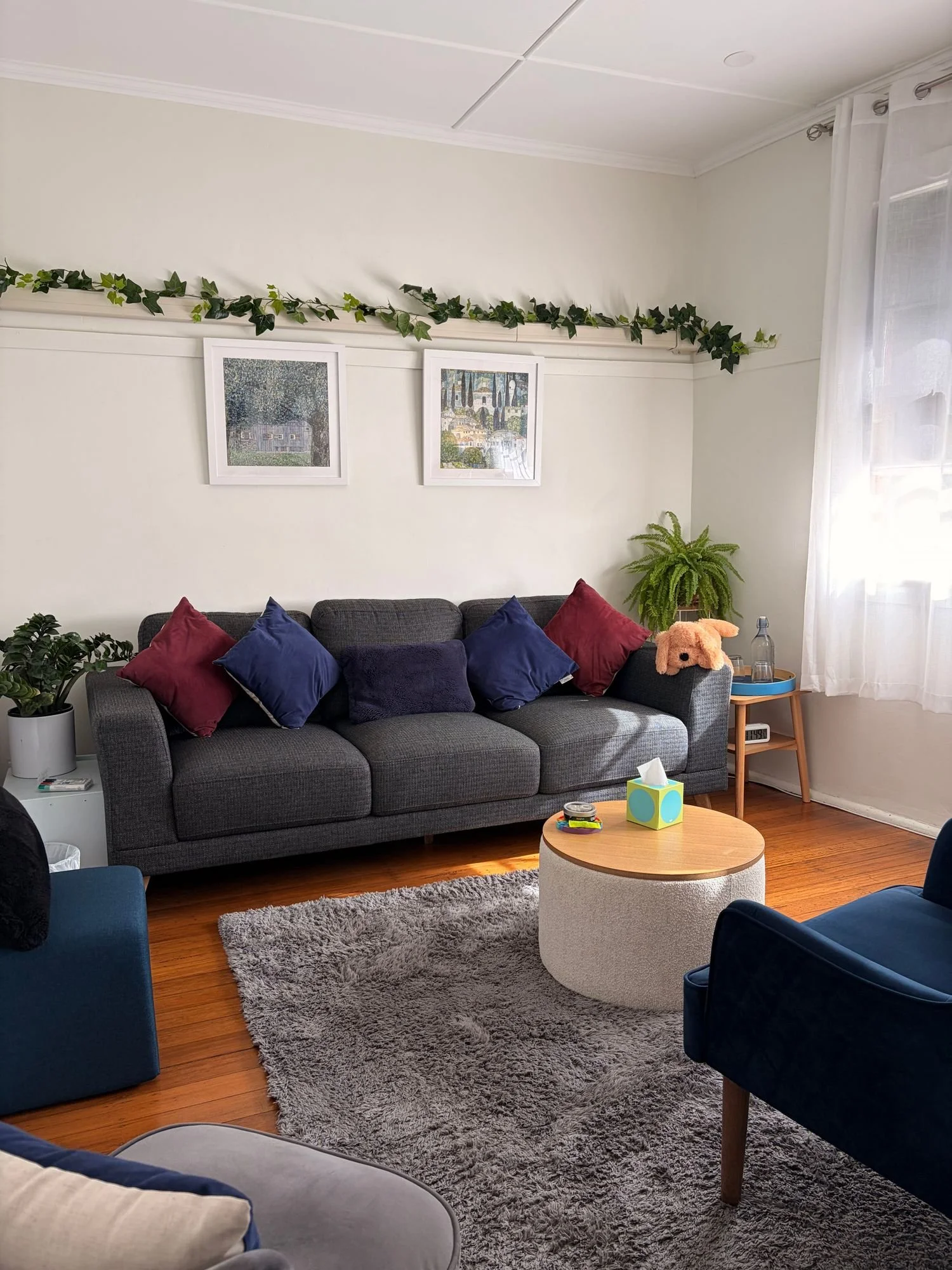 A living room with a gray couch decorated with colorful pillows, a round coffee table with tissues and a small container, a shaggy gray rug, a potted plant, wall art, and white curtains letting in natural light.