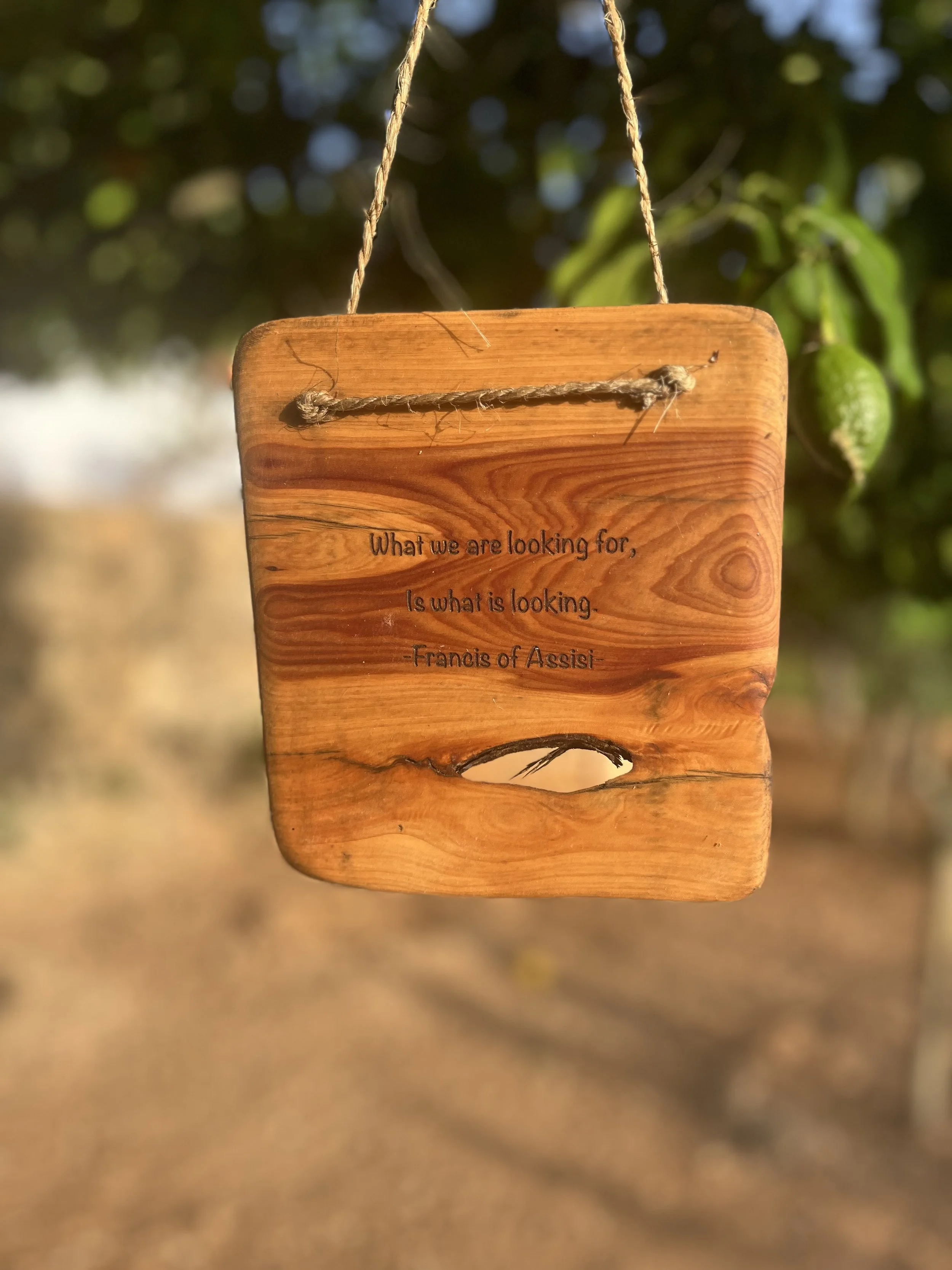 A wooden sign hanging from a rope, with an inspiring quote, set outdoors with a blurred background of trees and foliage.