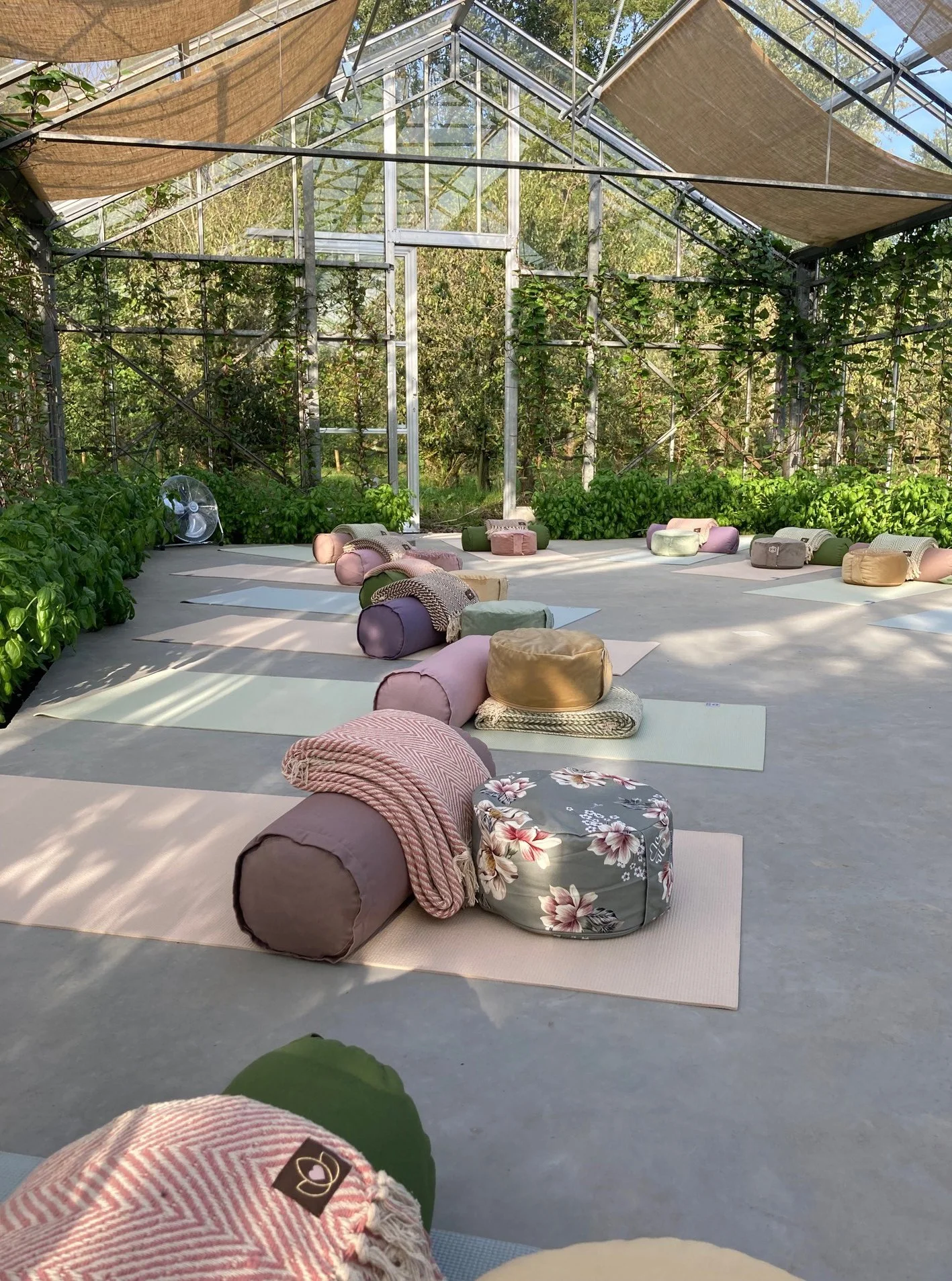 A greenhouse interior with yoga mats, bolsters, and blankets arranged for a class or meditation session; greenery visible through the glass walls and roof.